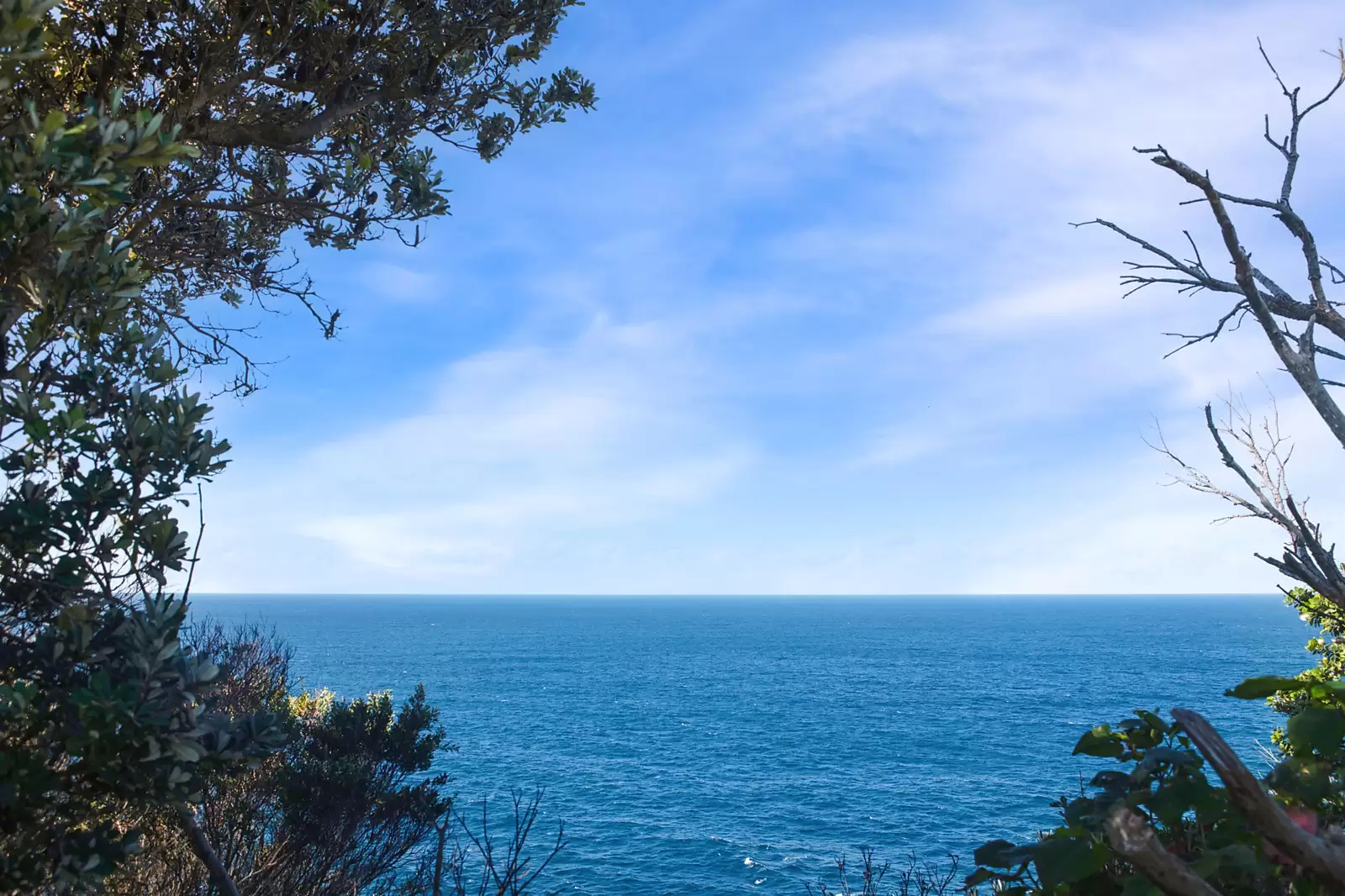 1/230 Old South Head Road, Vaucluse Auction by Sydney Sotheby's International Realty - image 5