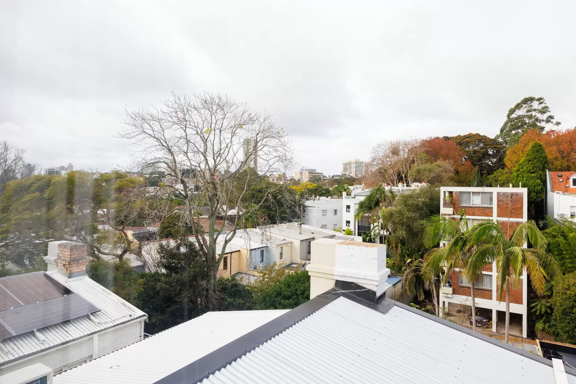 31 Goodhope Street, Paddington Auction by Sydney Sotheby's International Realty - image 1
