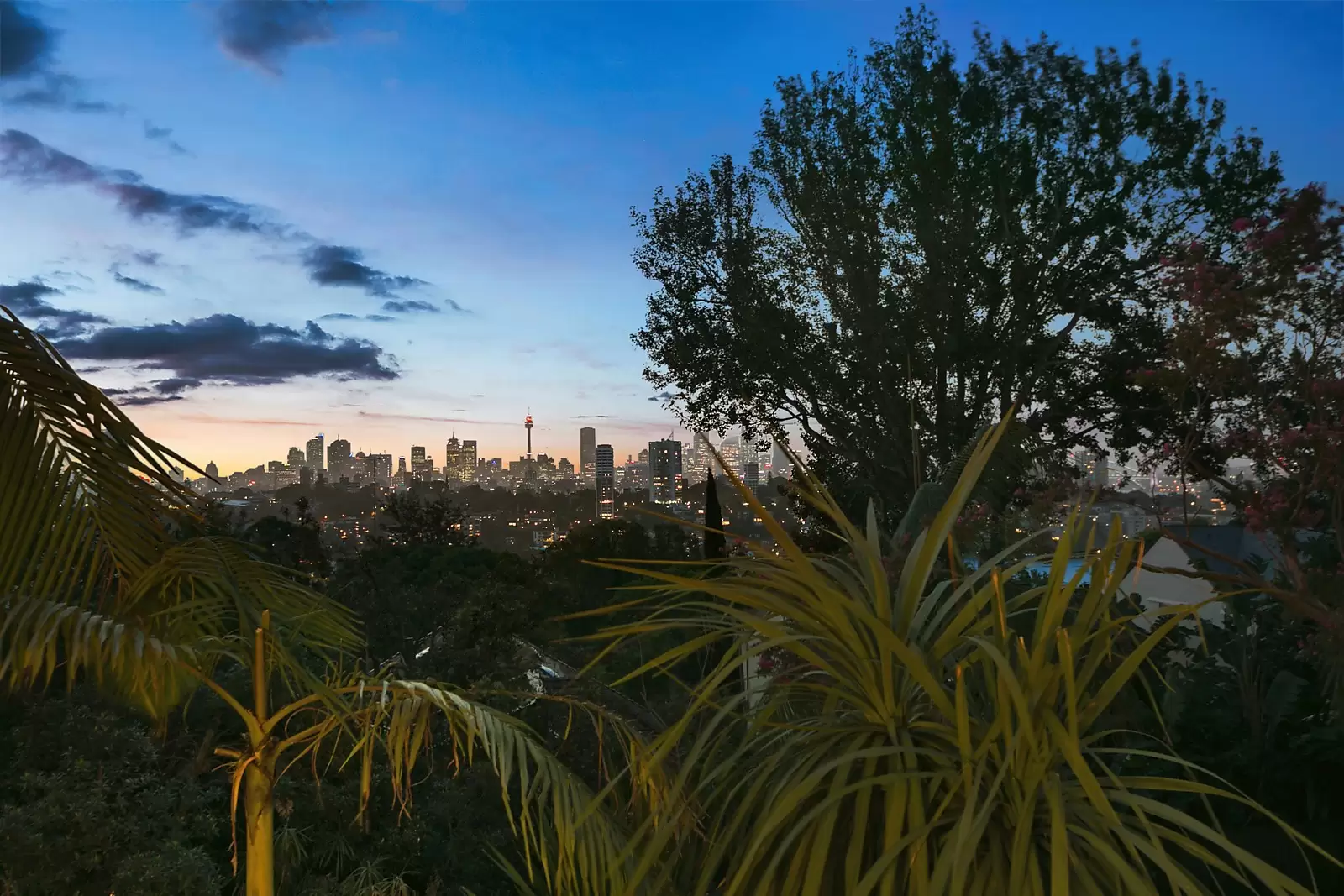 6 Sheldon Place, Bellevue Hill Sold by Sydney Sotheby's International Realty - image 13