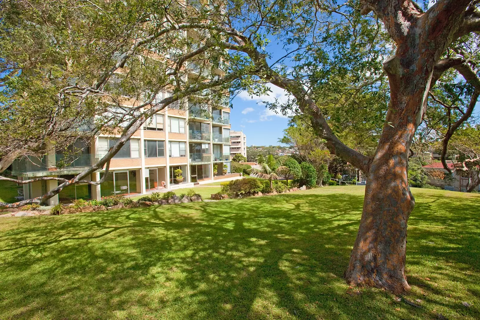 19G/3 Darling Point Road, Darling Point Sold by Sydney Sotheby's International Realty - image 17