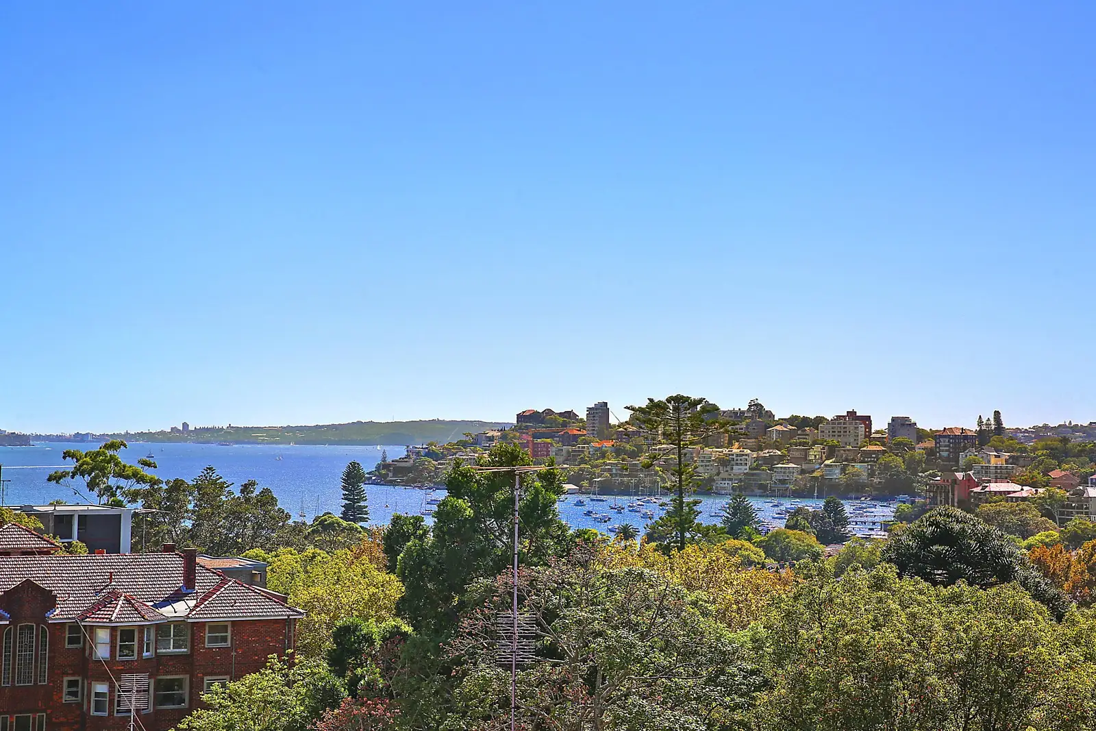 11/11-13 Ocean Avenue, Double Bay Sold by Sydney Sotheby's International Realty - image 2