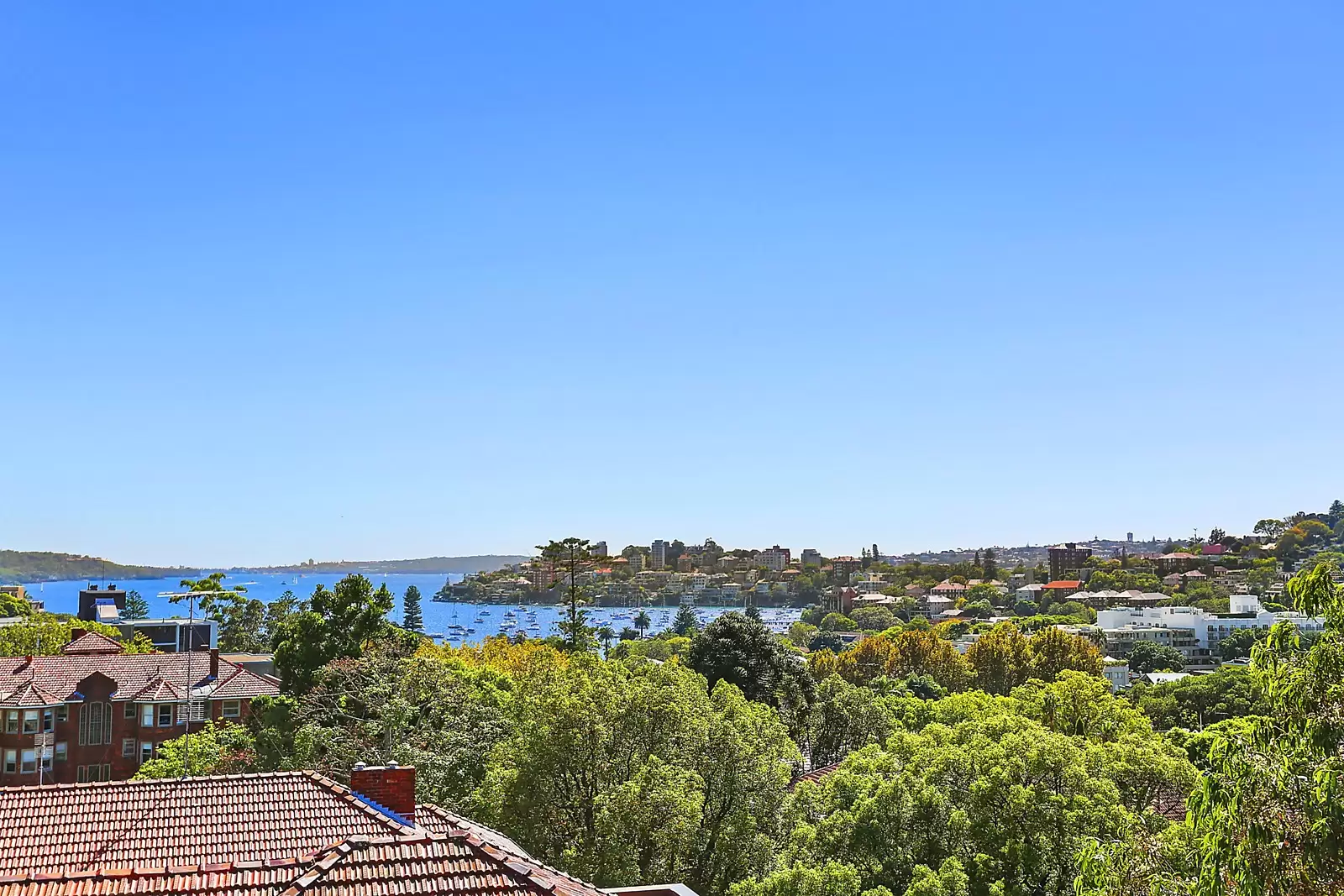 11/11-13 Ocean Avenue, Double Bay Sold by Sydney Sotheby's International Realty - image 8