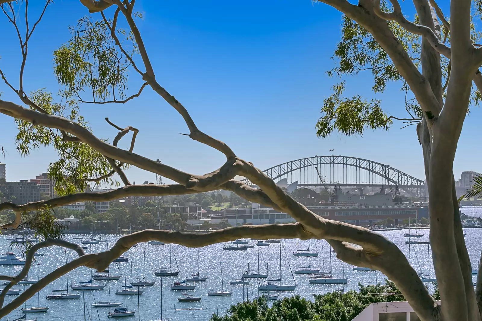 2/20 Yarranabbe Road, Darling Point Sold by Sydney Sotheby's International Realty - image 1