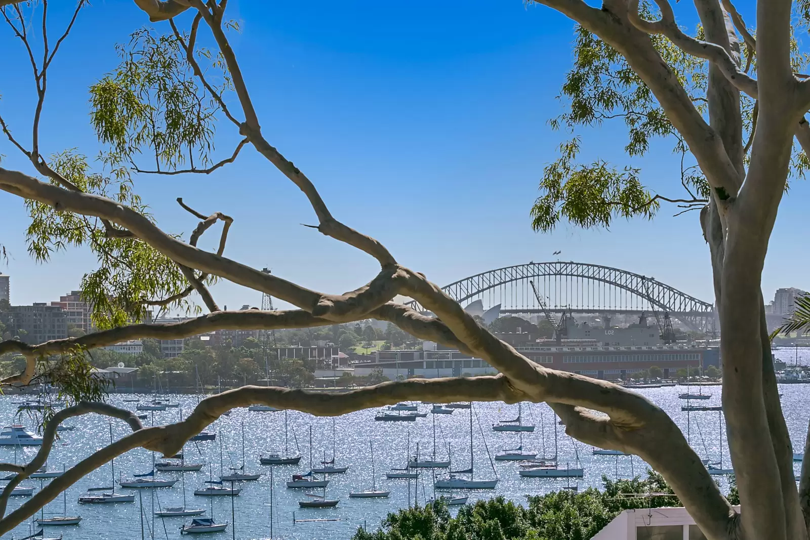 2/20 Yarranabbe Road, Darling Point Sold by Sydney Sotheby's International Realty - image 13