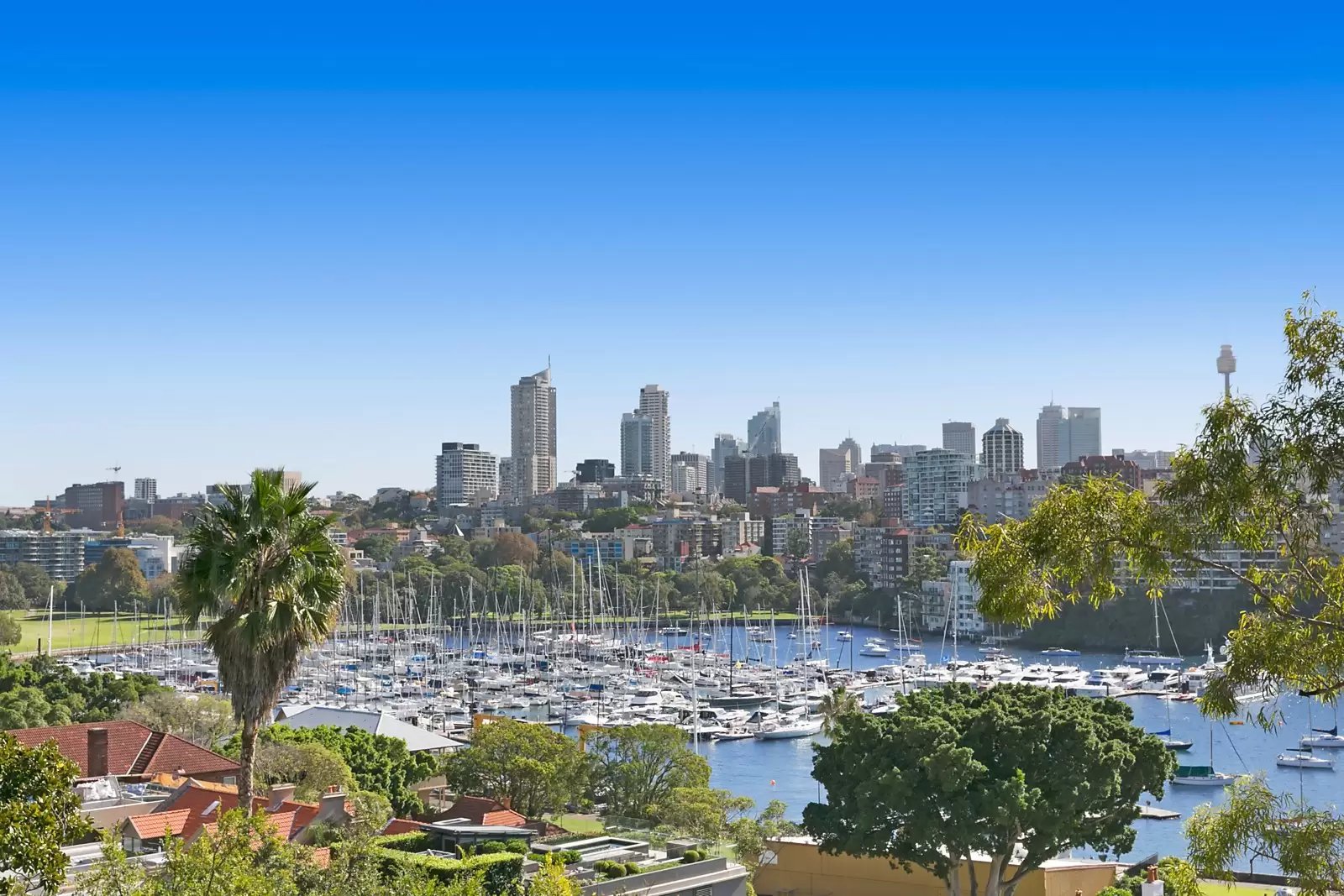 2/20 Yarranabbe Road, Darling Point Sold by Sydney Sotheby's International Realty - image 12