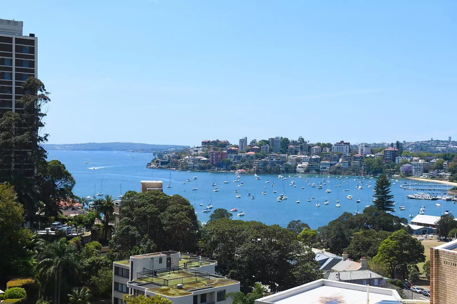 8/4 Greenoaks Avenue, Darling Point Sold by Sydney Sotheby's International Realty - image 11