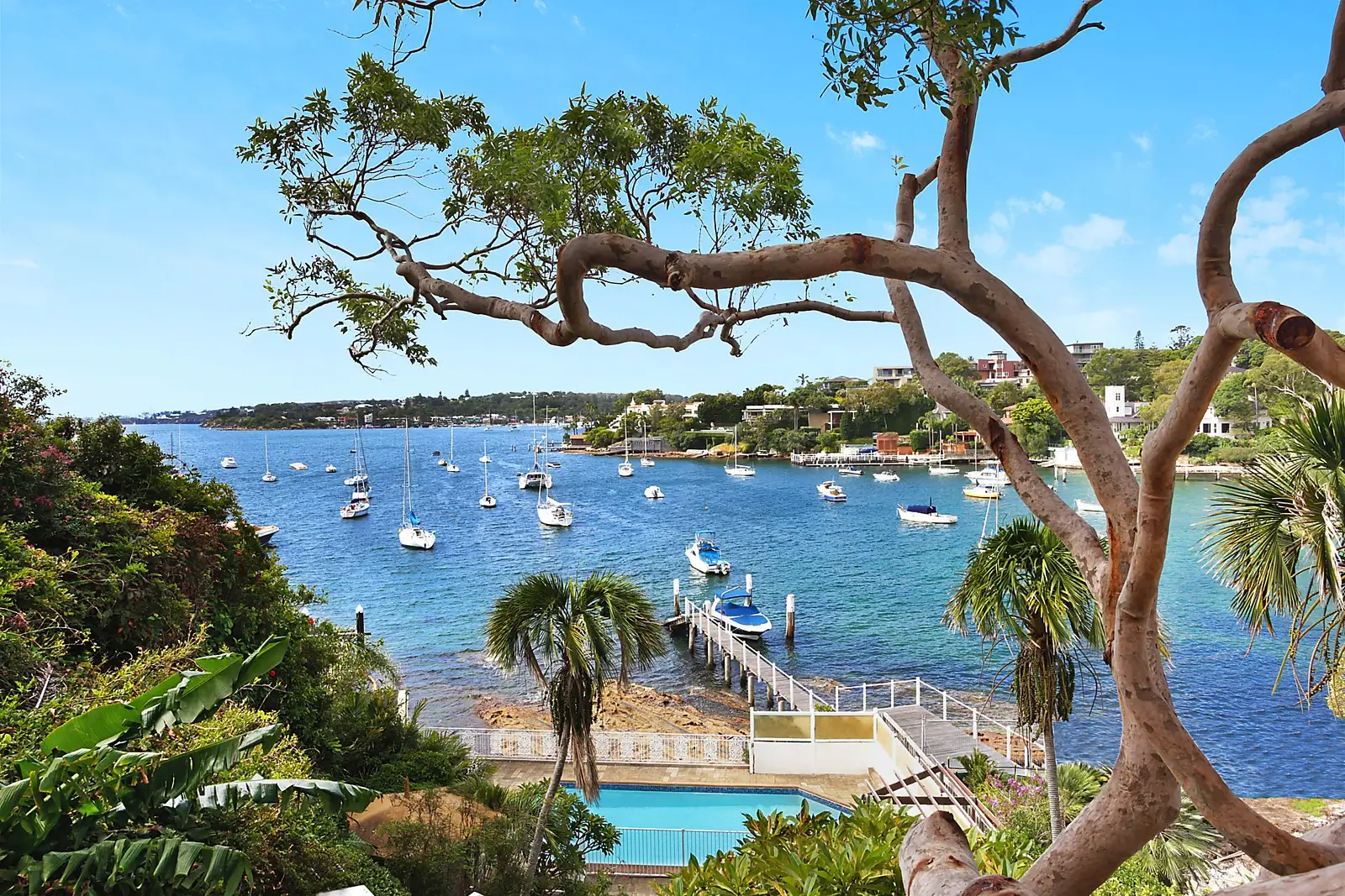 15B Coolong Road, Vaucluse Sold by Sydney Sotheby's International Realty - image 1