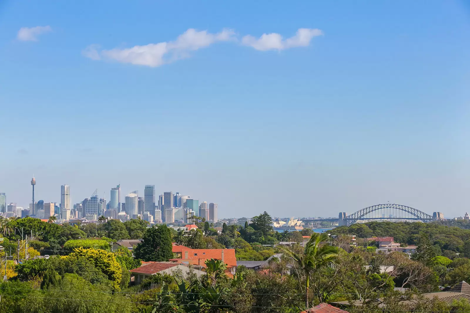 13 Village High Road, Vaucluse Leased by Sydney Sotheby's International Realty - image 12