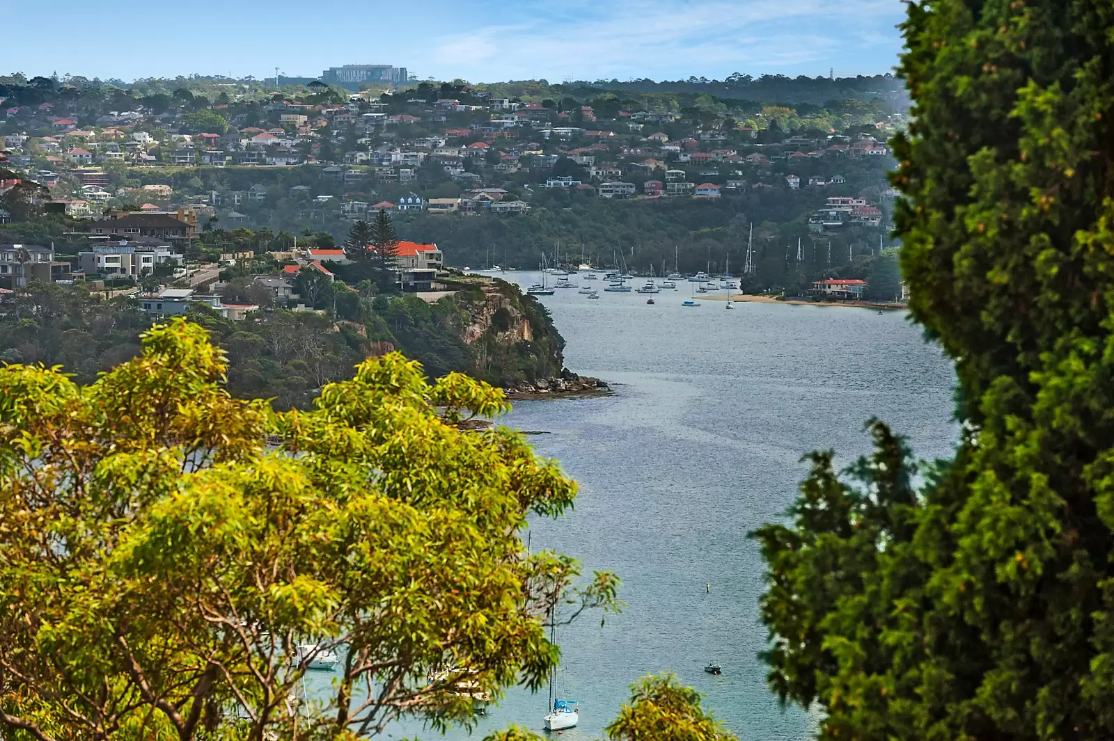 14 Cobbittee Street, Mosman Sold by Sydney Sotheby's International Realty - image 9