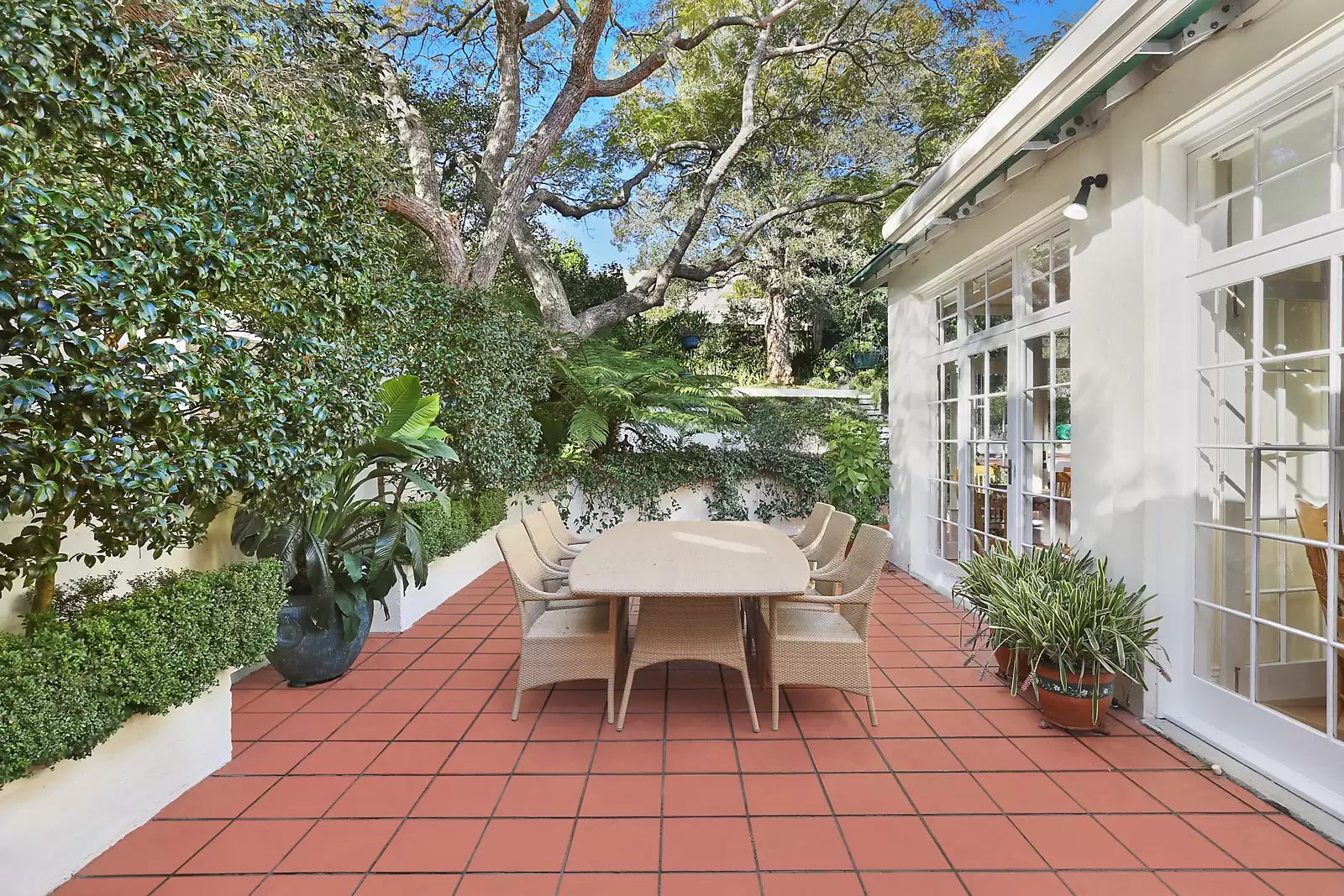 6 Holland Road, Bellevue Hill Sold by Sydney Sotheby's International Realty - image 6