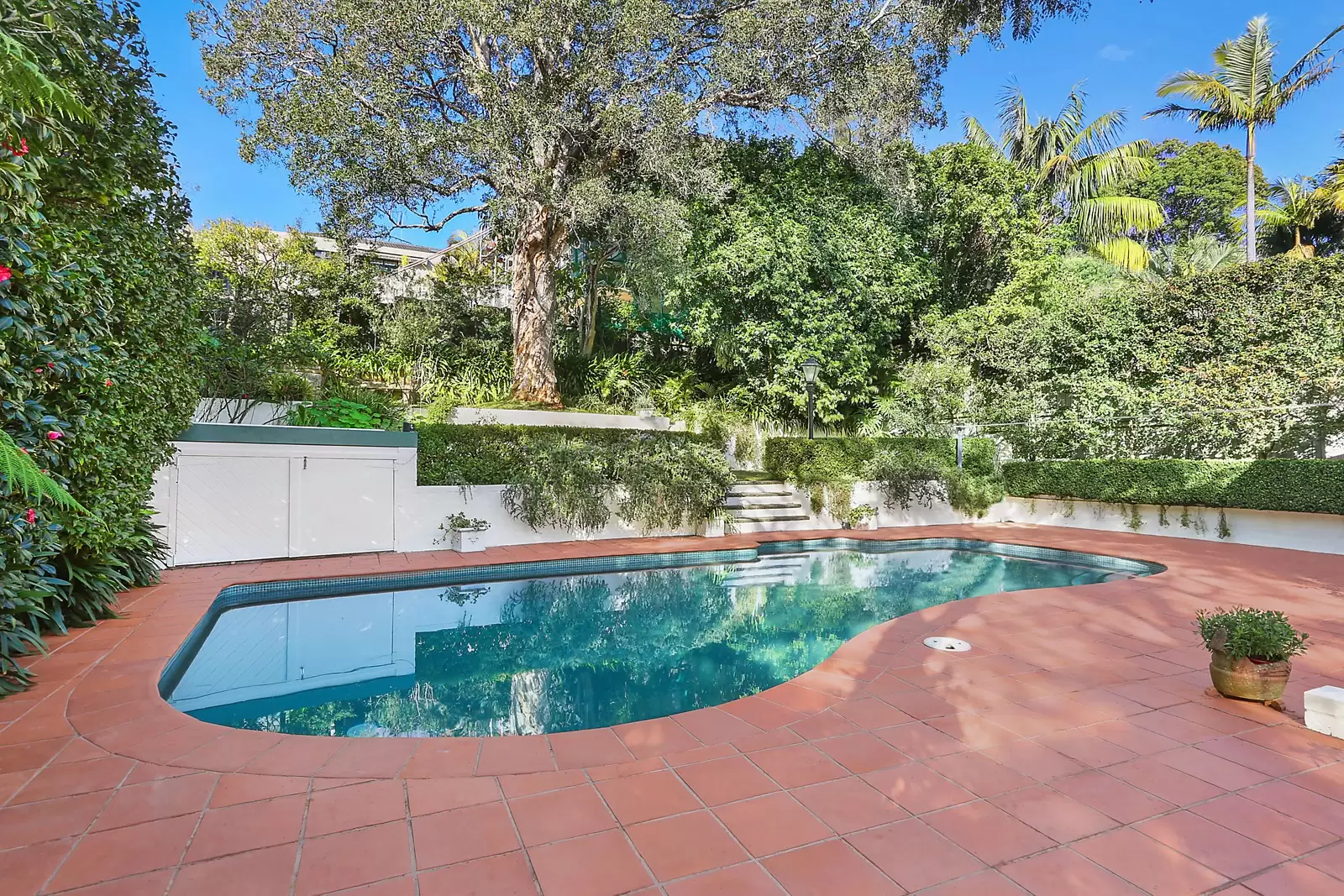 6 Holland Road, Bellevue Hill Sold by Sydney Sotheby's International Realty - image 8