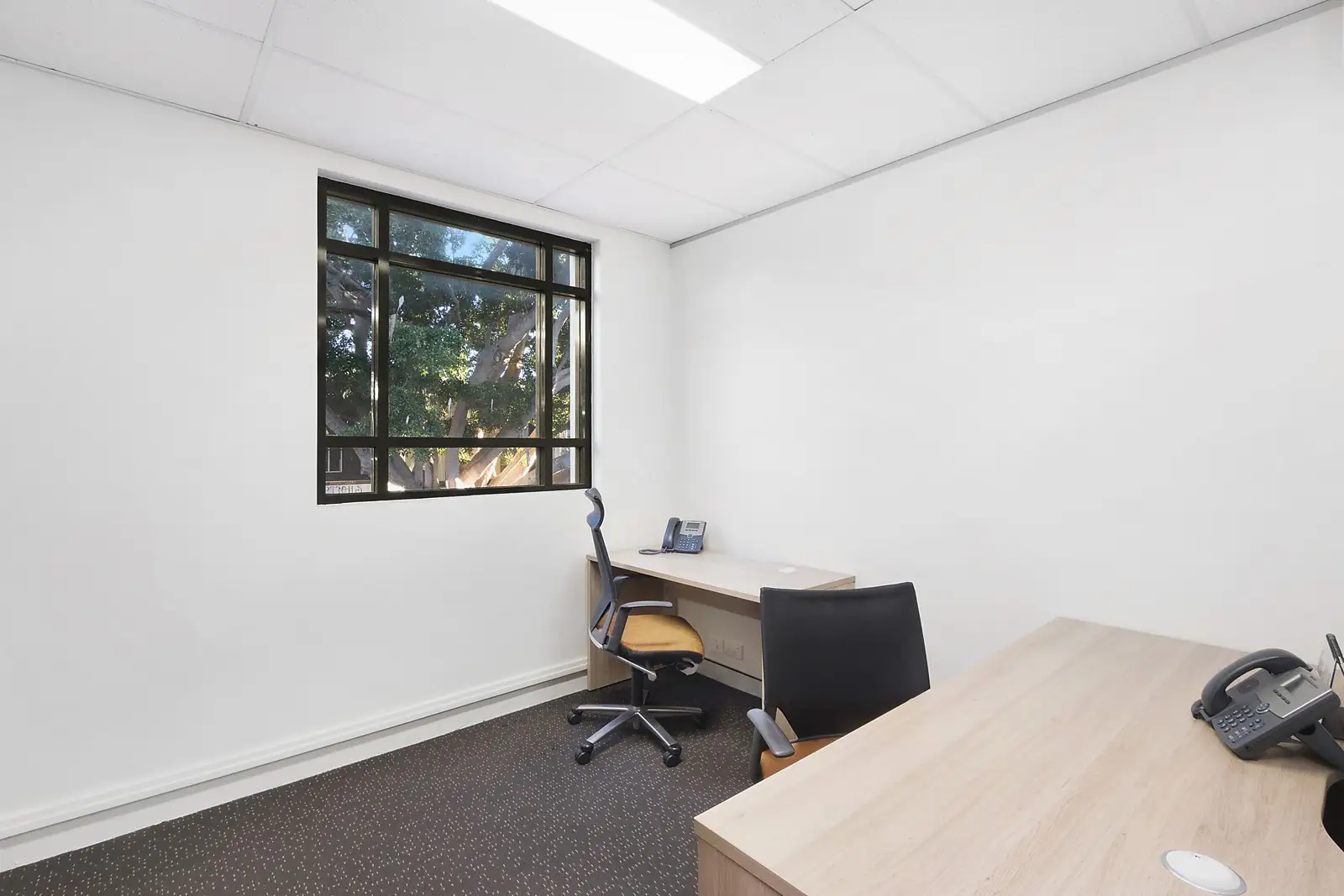Suite 3, 15 Cross Street, Double Bay Leased by Sydney Sotheby's International Realty - image 2