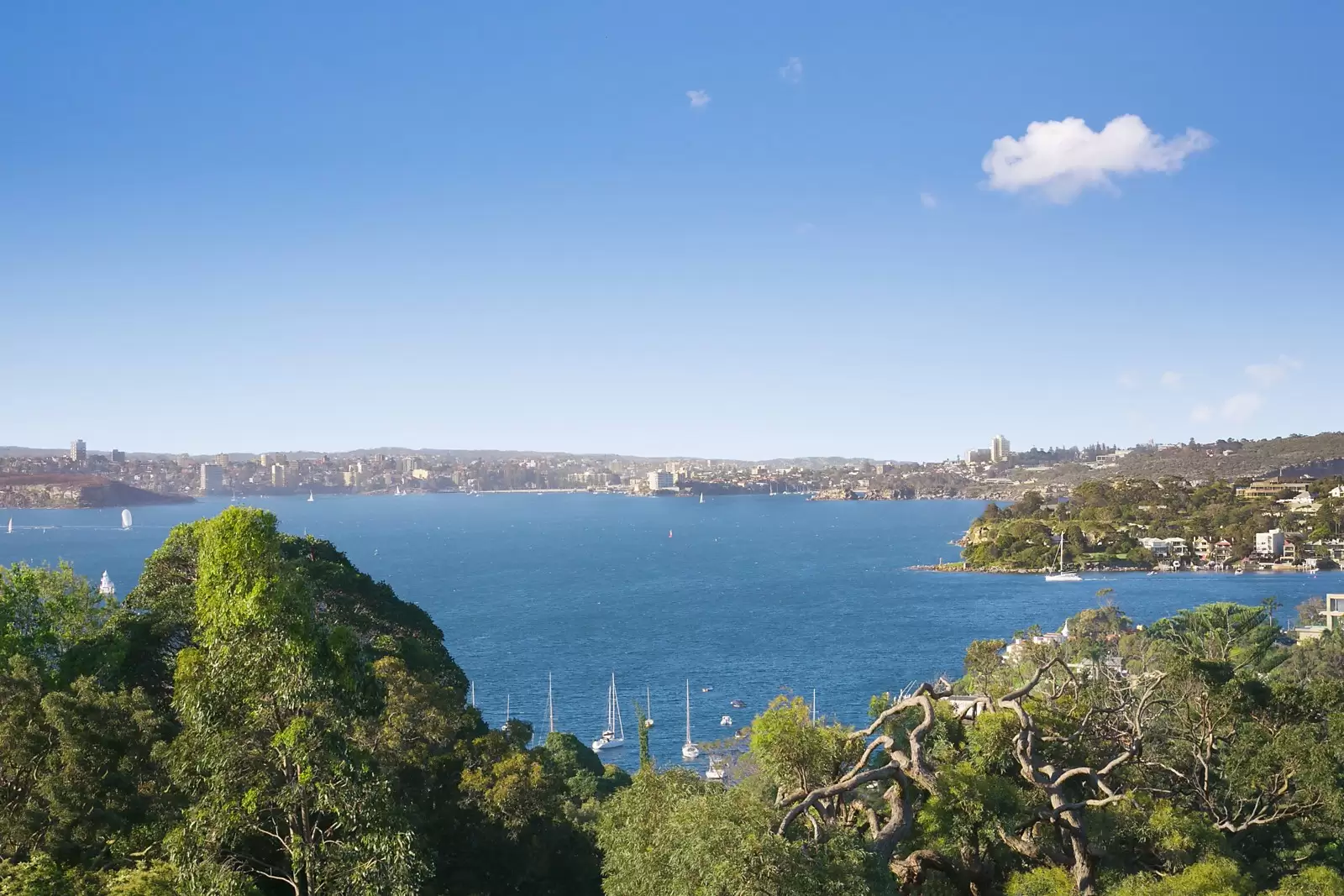 28 Wentworth Road, Vaucluse Sold by Sydney Sotheby's International Realty - image 18