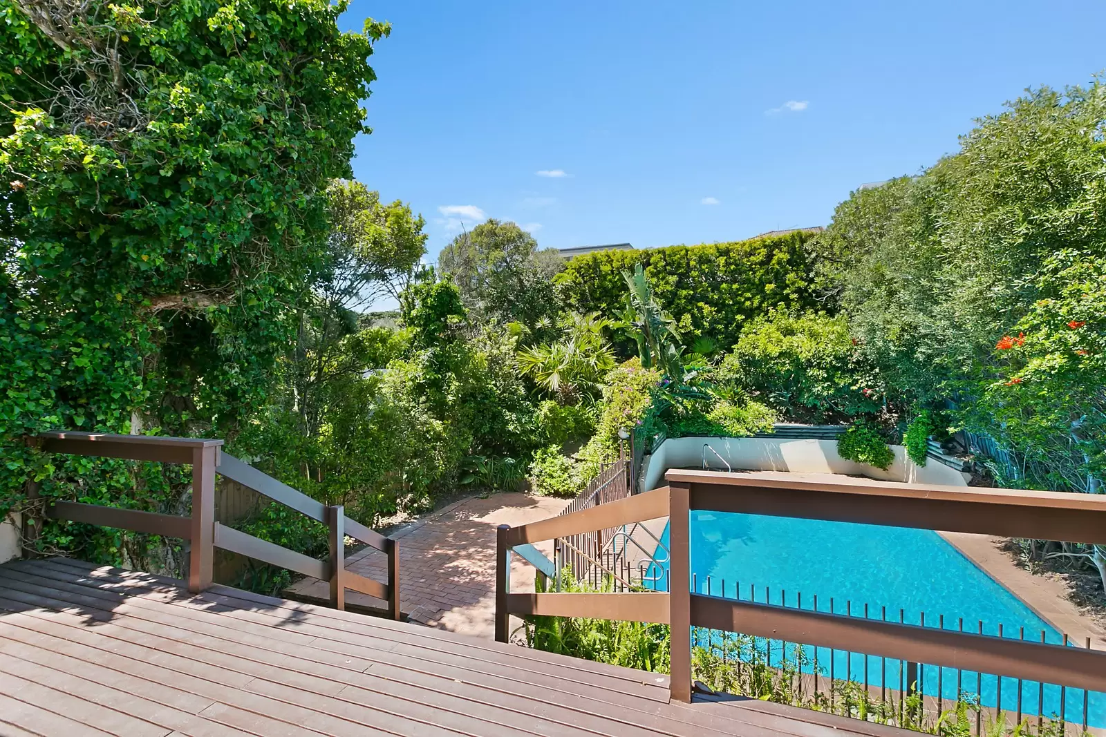 4 Portland Street, Dover Heights Sold by Sydney Sotheby's International Realty - image 7