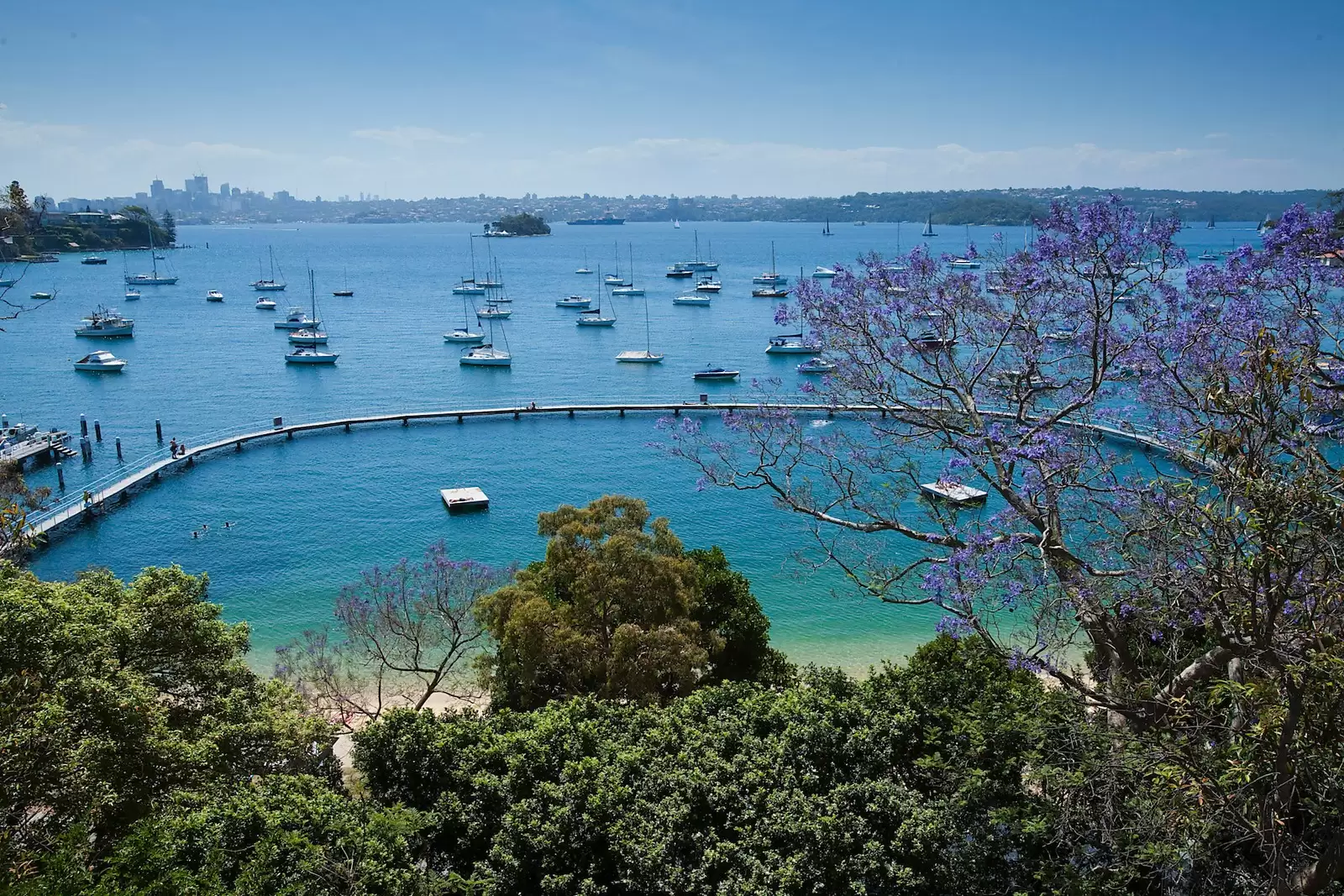 2/543 New South Head Road, Double Bay Sold by Sydney Sotheby's International Realty - image 1