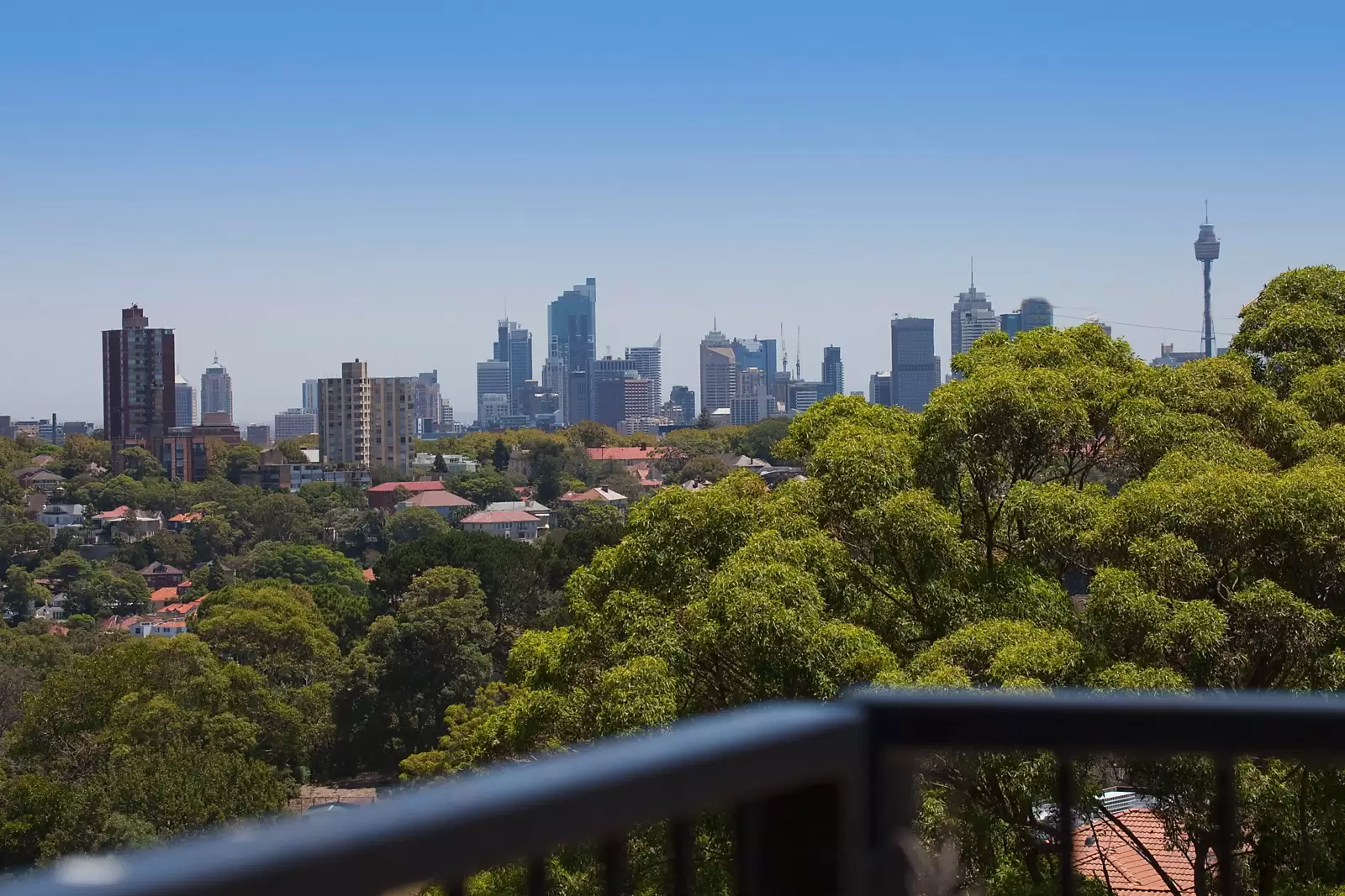 4/38 Bellevue Road, Bellevue Hill Sold by Sydney Sotheby's International Realty - image 12