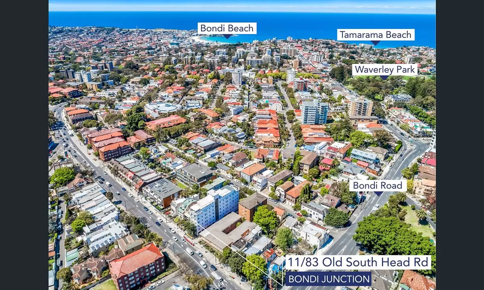 11/83 Old South Head Road, Bondi Junction Leased by Sydney Sotheby's International Realty - image 6