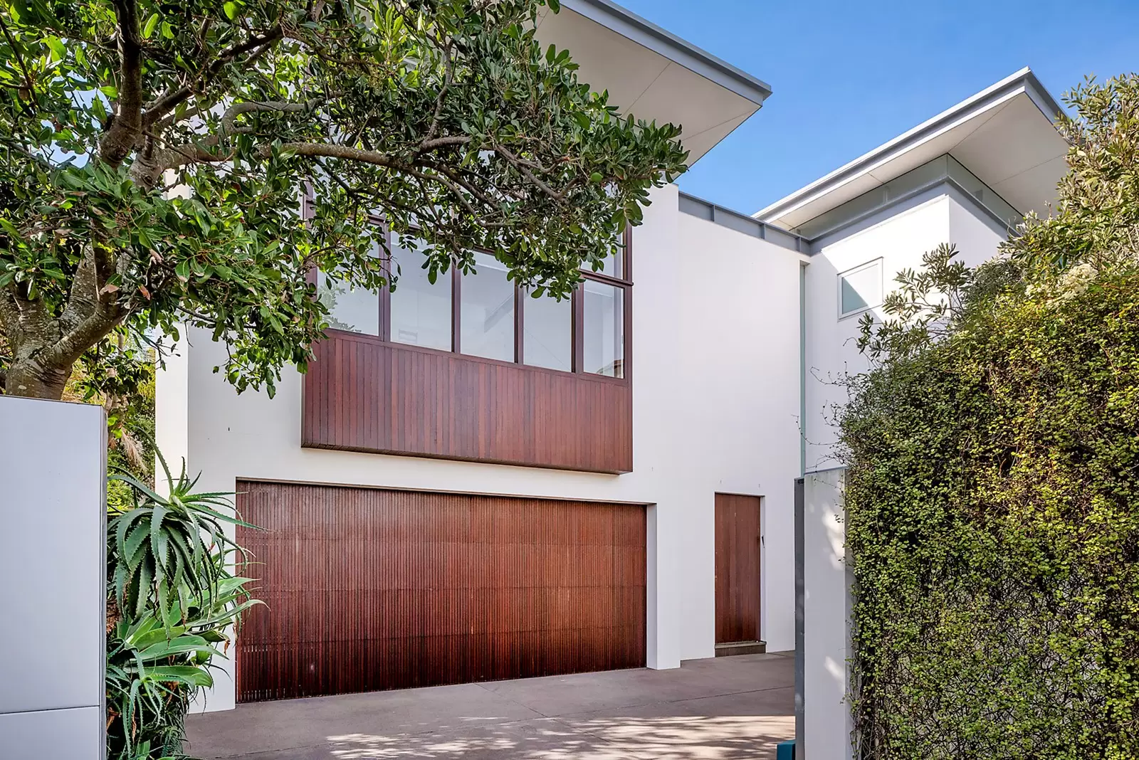 8 Wentworth Street, Dover Heights Sold by Sydney Sotheby's International Realty - image 4