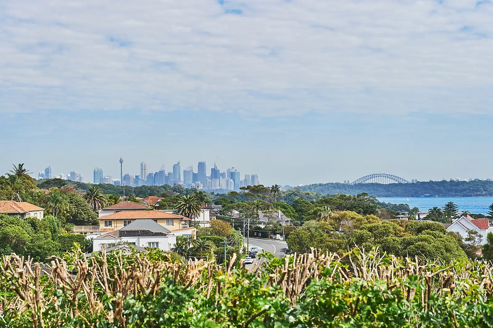 5 Bell Street, Watsons Bay Sold by Sydney Sotheby's International Realty - image 1