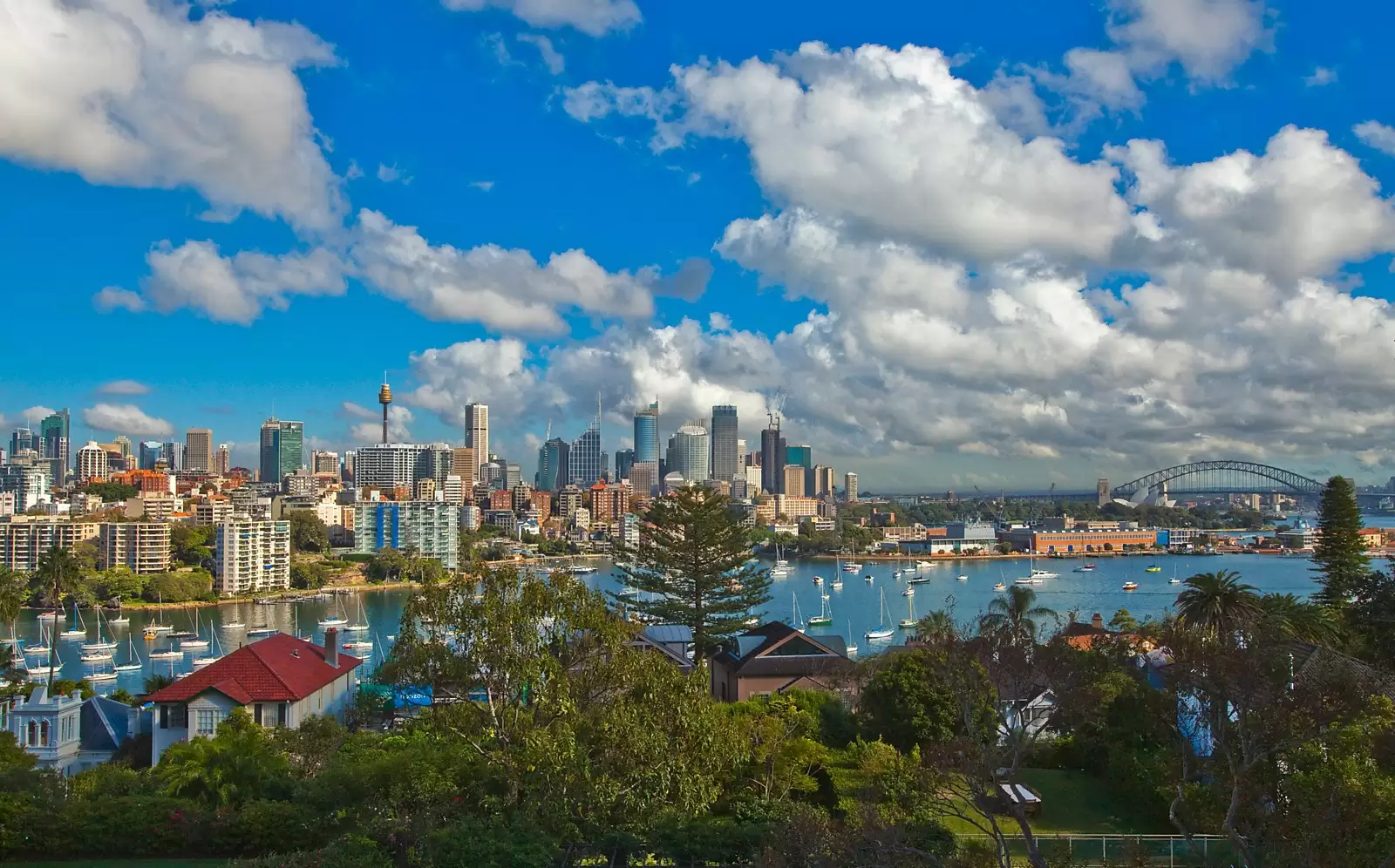 8/60 Darling Point Road, Darling Point Sold by Sydney Sotheby's International Realty - image 7