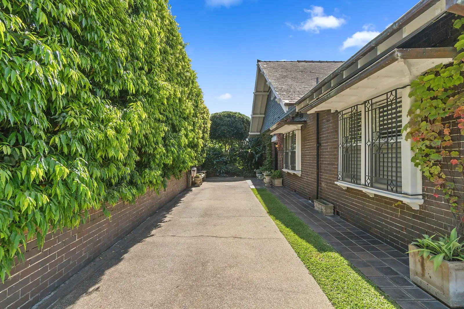 18 Drumalbyn Road, Bellevue Hill Sold by Sydney Sotheby's International Realty - image 3