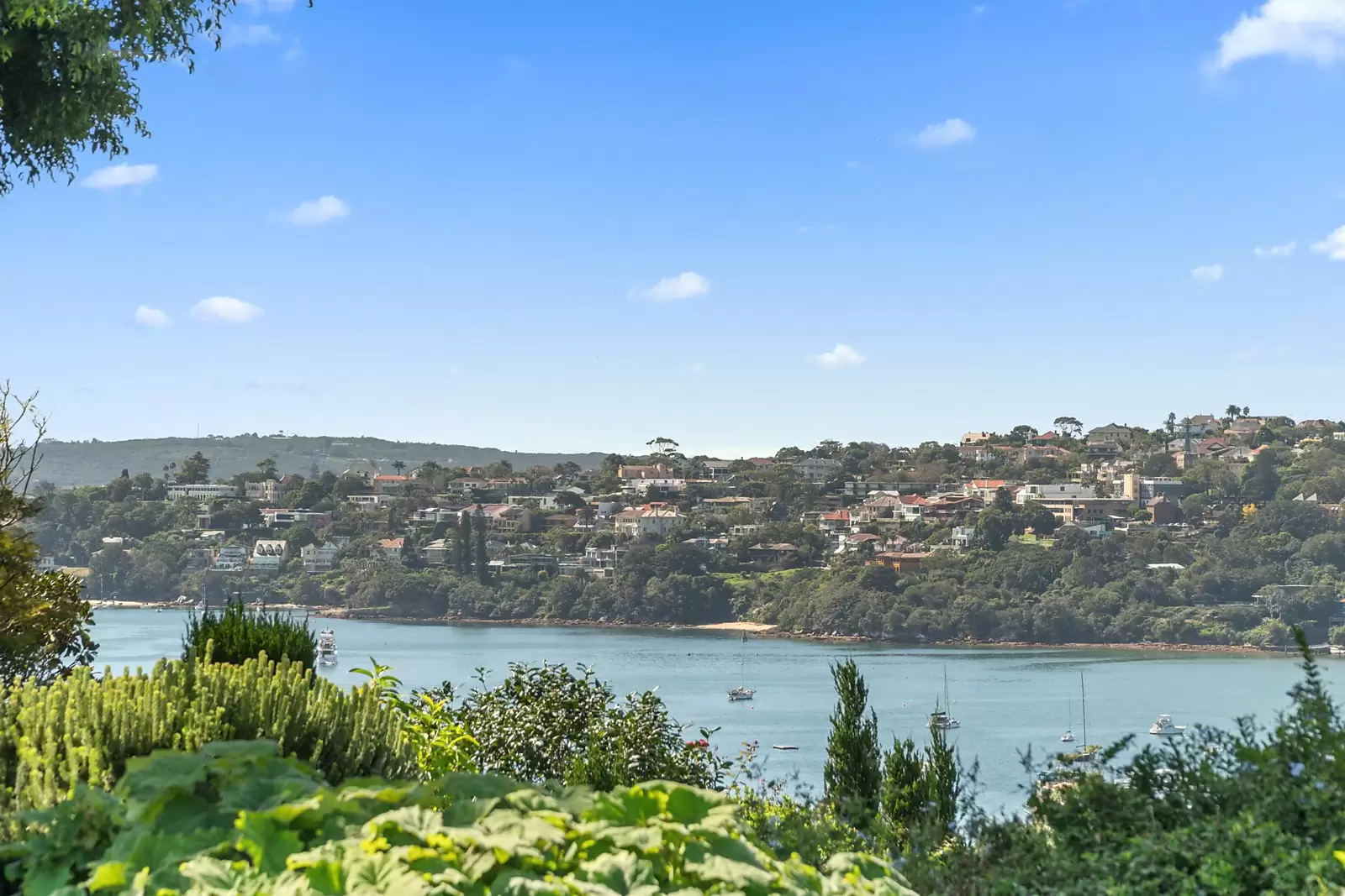 18 Drumalbyn Road, Bellevue Hill Sold by Sydney Sotheby's International Realty - image 11