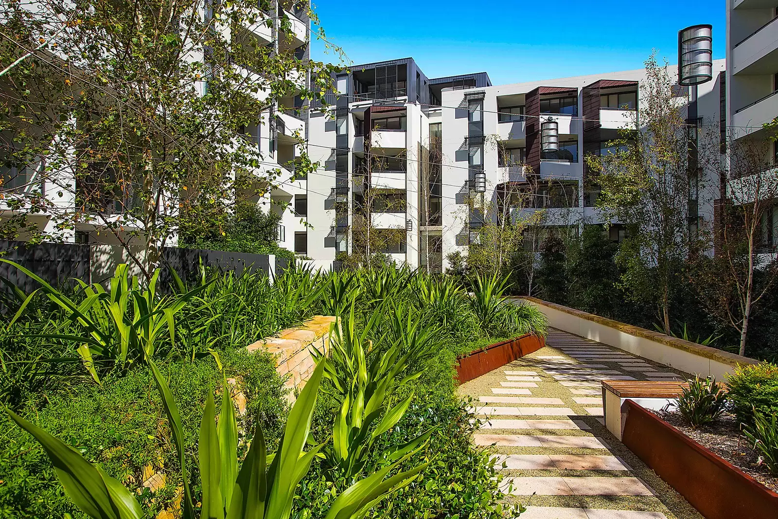 1 Scotsman Street, Forest Lodge Leased by Sydney Sotheby's International Realty - image 5