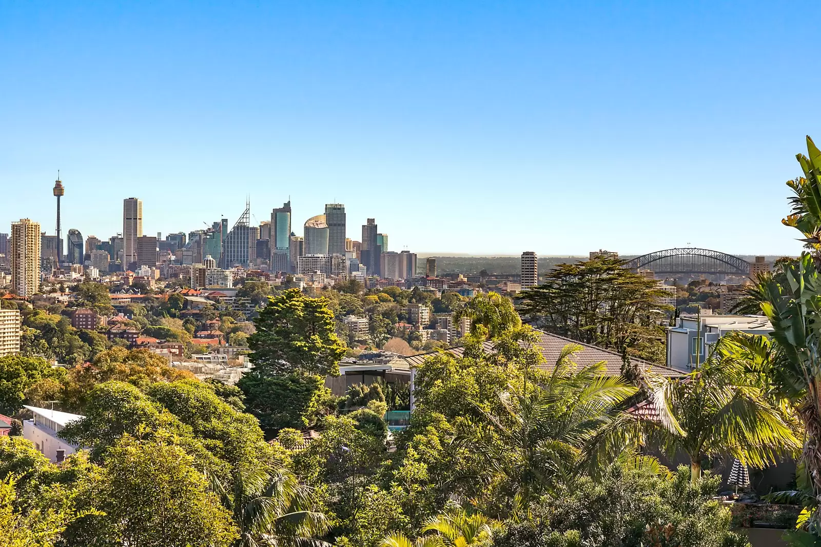 2 March Street, Bellevue Hill Sold by Sydney Sotheby's International Realty - image 8