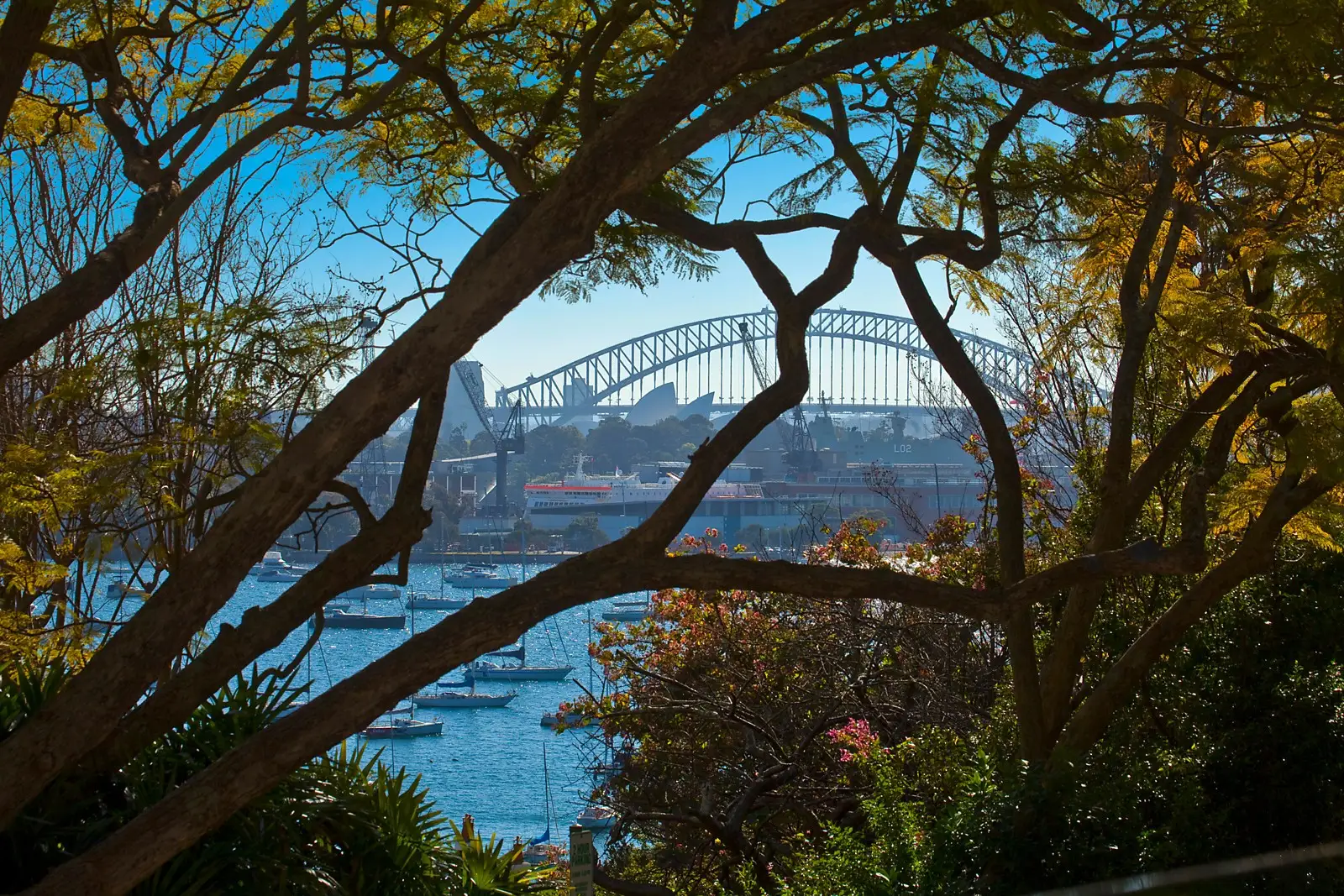 1/10 Yarranabbe Road, Darling Point Sold by Sydney Sotheby's International Realty - image 3