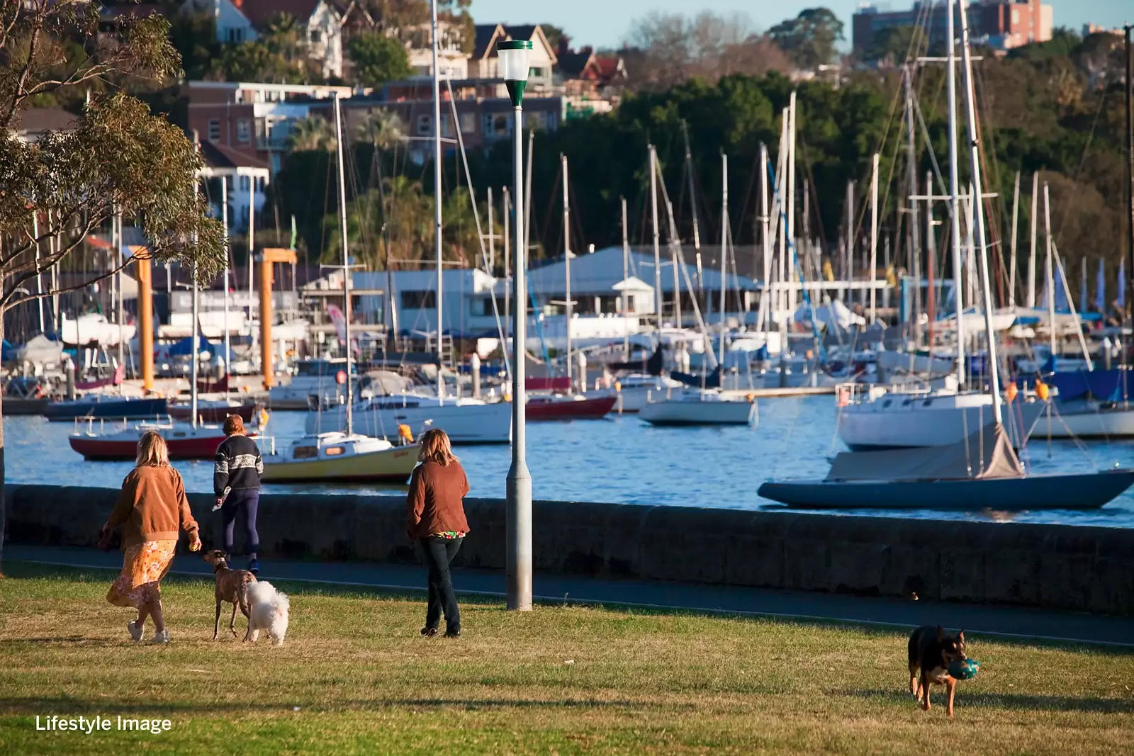 5A/23 Thornton Street, Darling Point Sold by Sydney Sotheby's International Realty - image 24