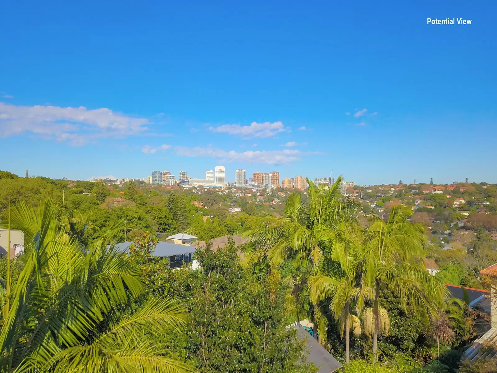 2 Kulgoa Road (aka 5 Tarrant Avenue), Bellevue Hill Sold by Sydney Sotheby's International Realty - image 16