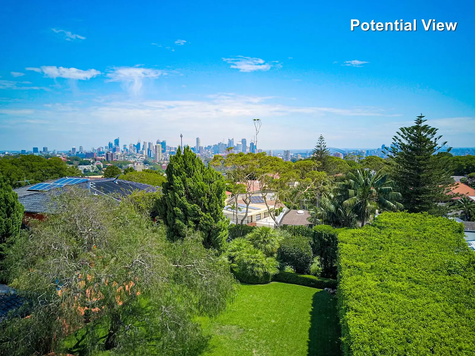 10 March Street, Bellevue Hill Sold by Sydney Sotheby's International Realty - image 5