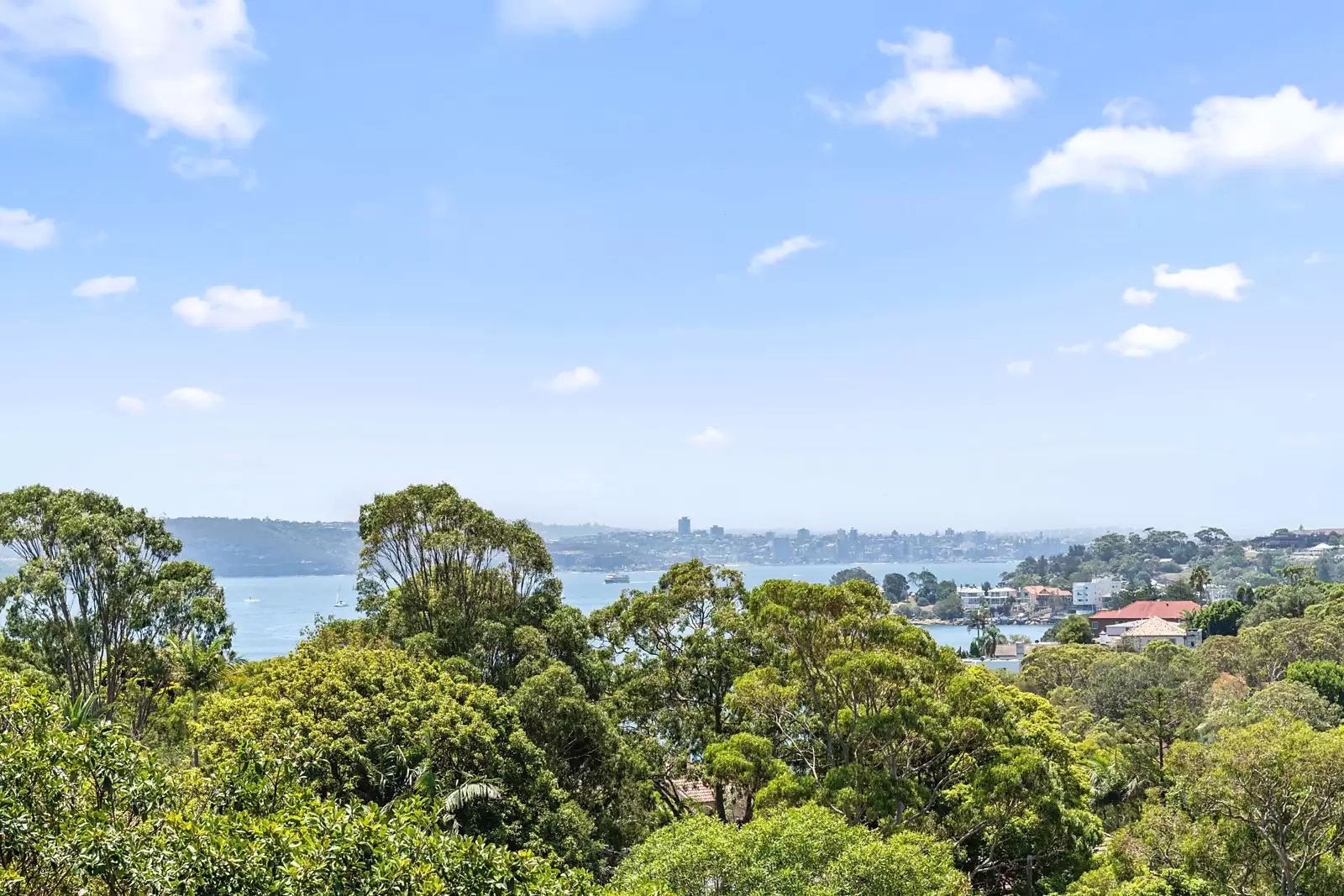 Photo #11: 19 Fitzwilliam Road, Vaucluse - Sold by Sydney Sotheby's International Realty