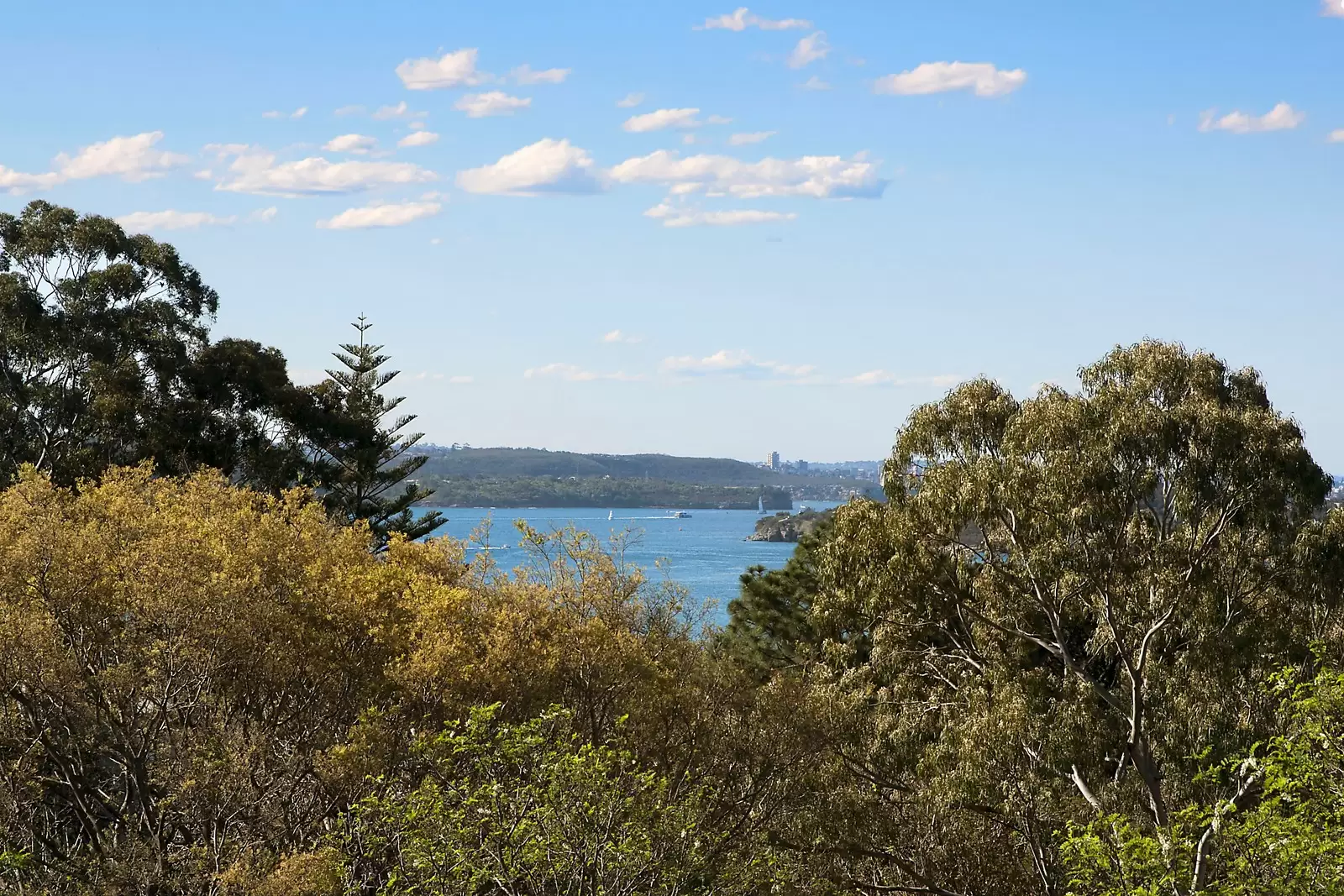 53 Bundarra Road, Bellevue Hill Sold by Sydney Sotheby's International Realty - image 11