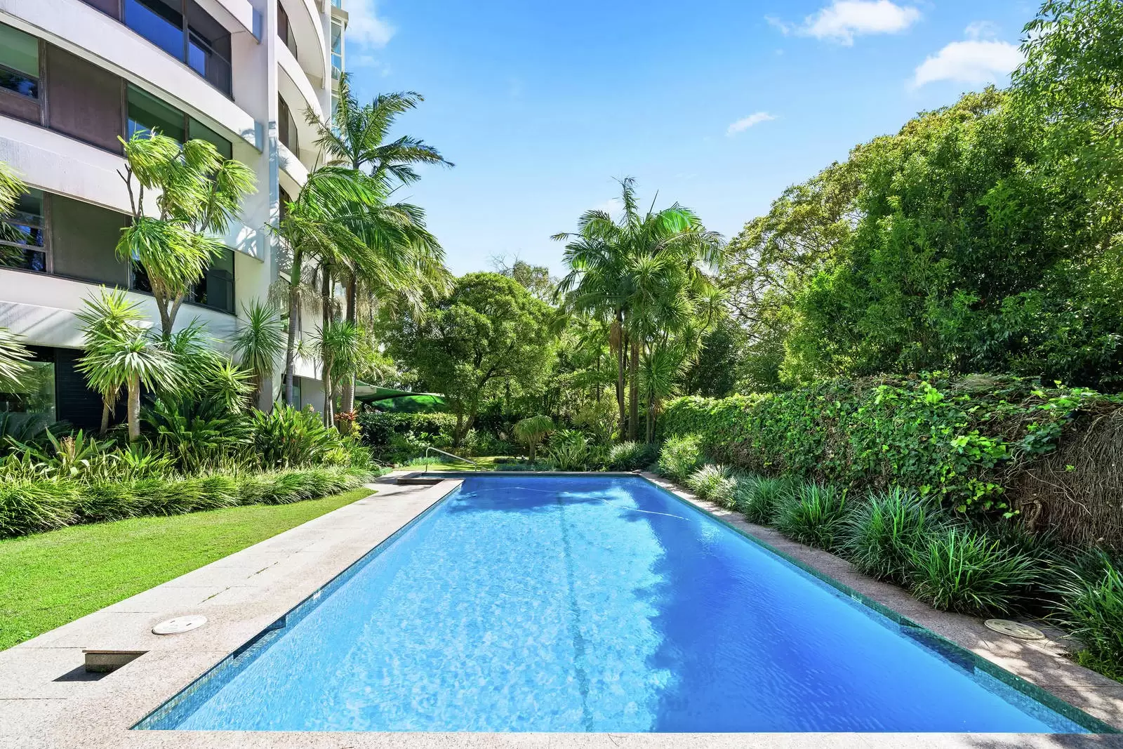 8/75 Darling Point Road, Darling Point Sold by Sydney Sotheby's International Realty - image 17
