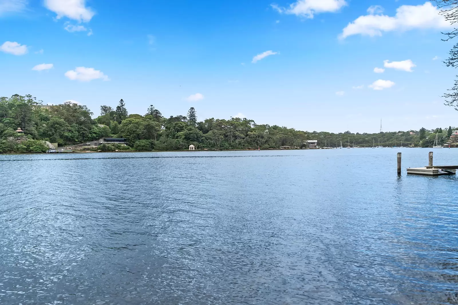 Lot 3 McBride Avenue (entry From Ady Street), Hunters Hill Sold by Sydney Sotheby's International Realty - image 6
