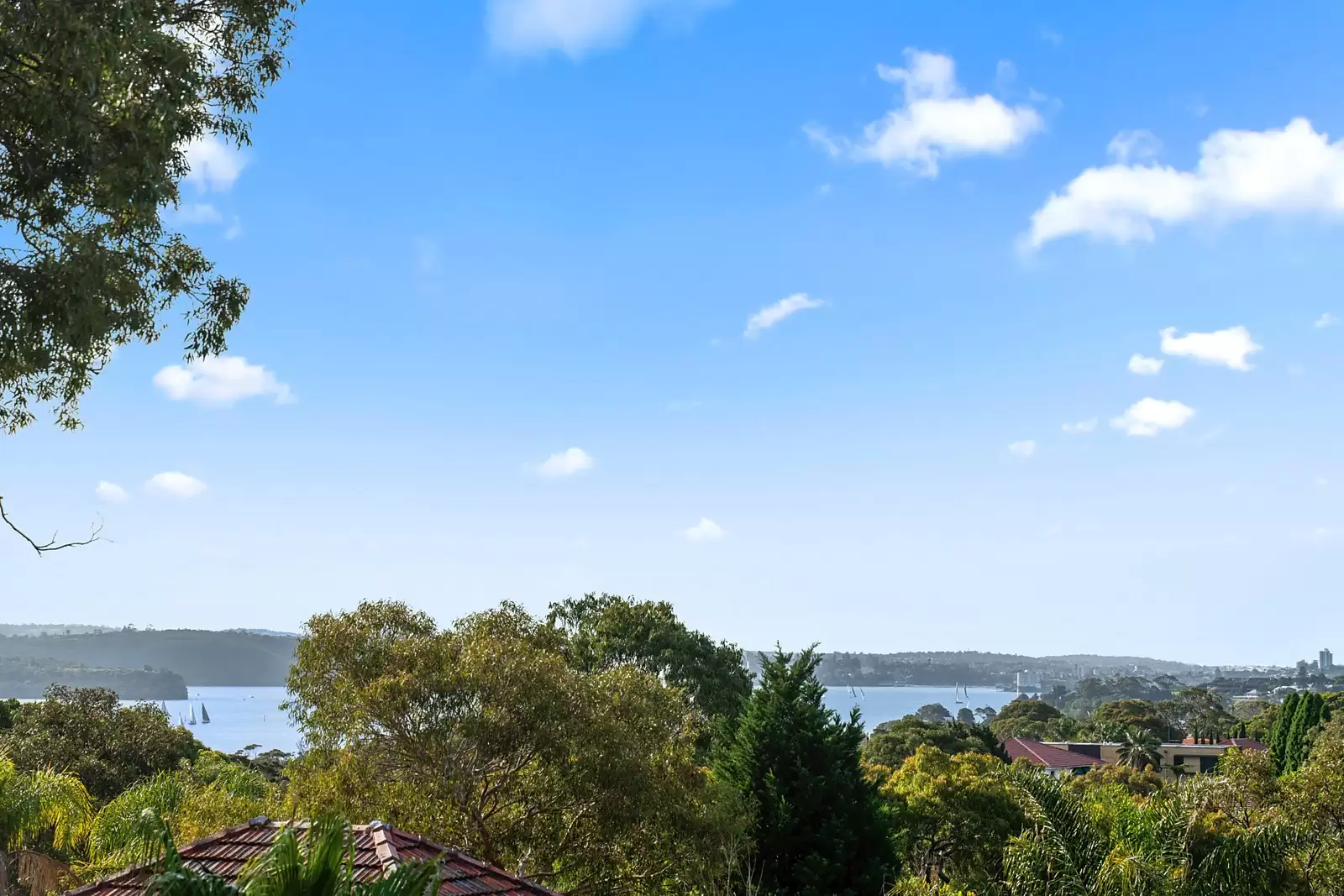 31 Olola Avenue, Vaucluse Sold by Sydney Sotheby's International Realty - image 11