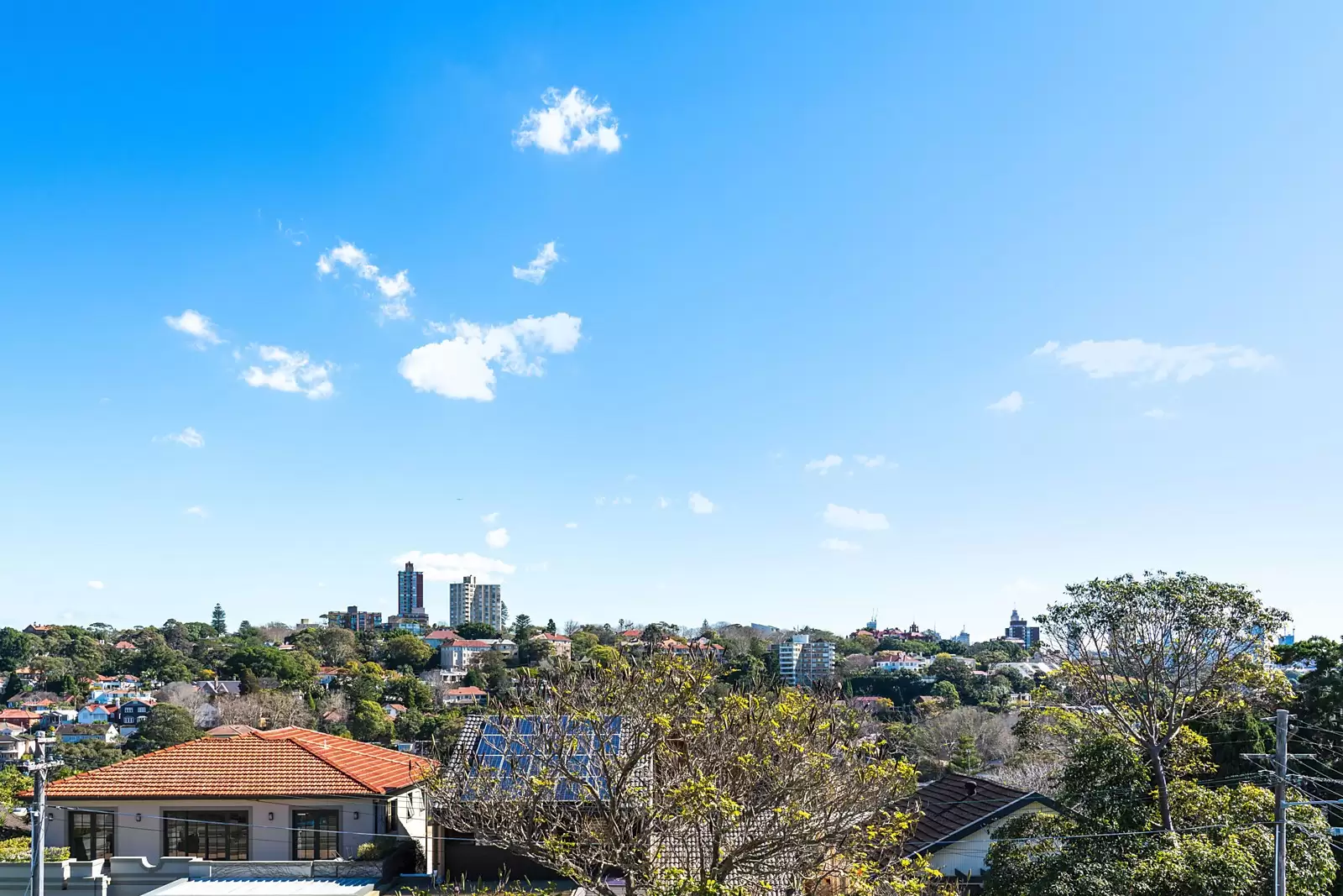 2 Suttie Road, Bellevue Hill Sold by Sydney Sotheby's International Realty - image 16