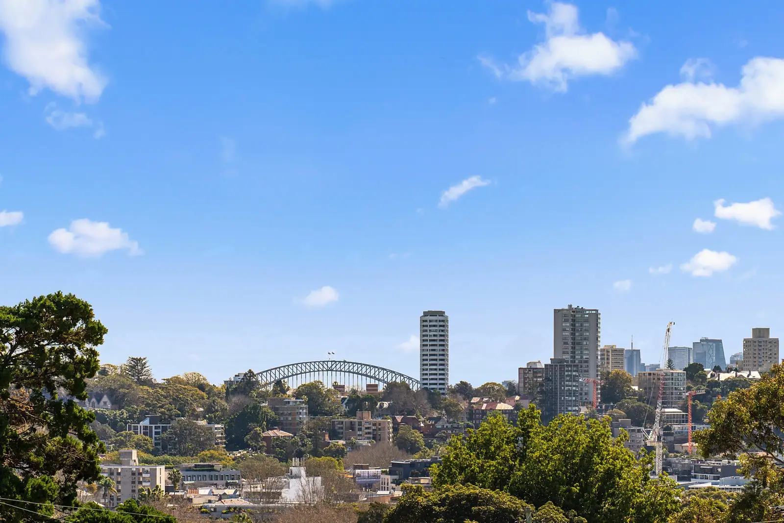 2 Suttie Road, Bellevue Hill Sold by Sydney Sotheby's International Realty - image 3