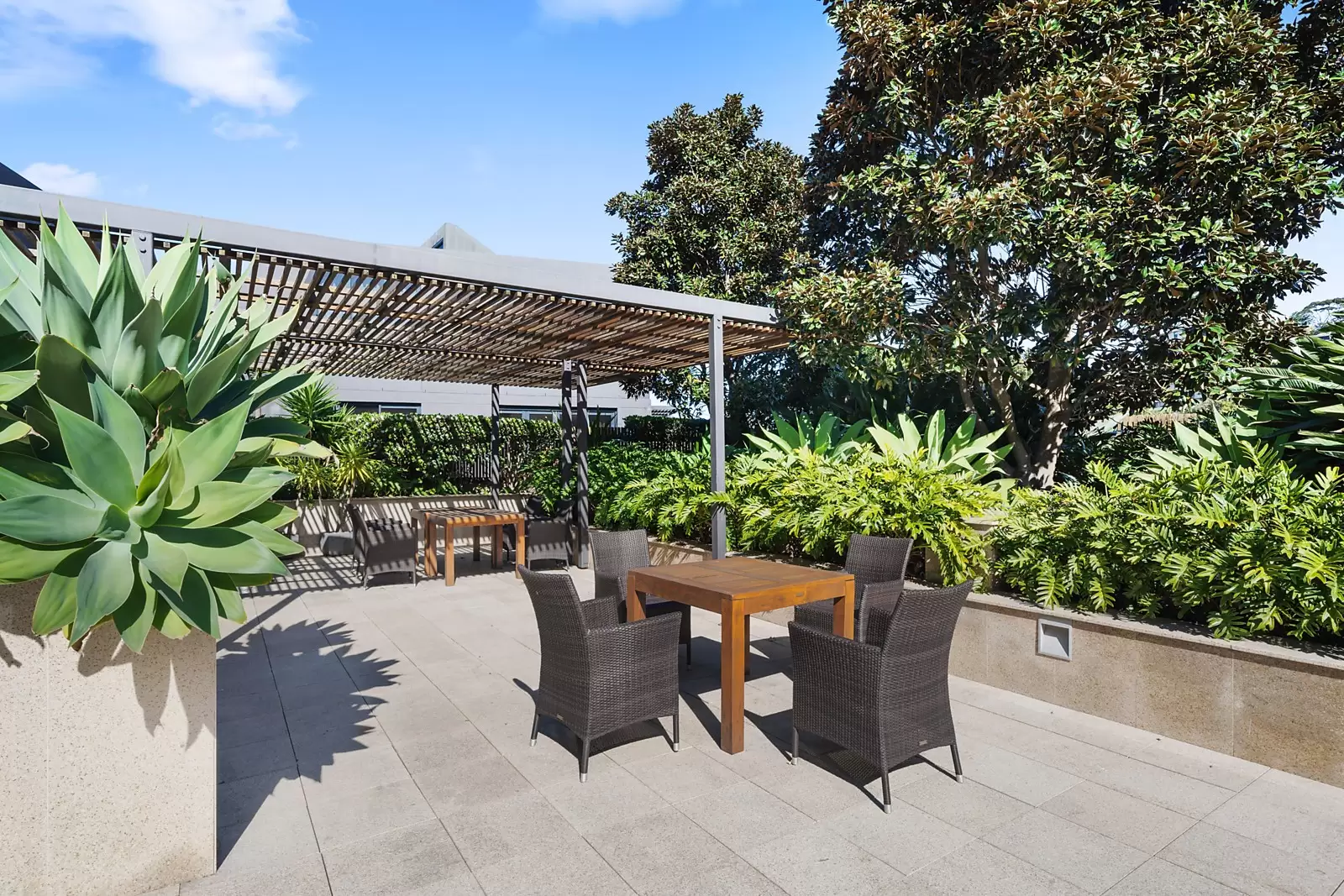 5B/22 Knox Street, Double Bay Sold by Sydney Sotheby's International Realty - image 8