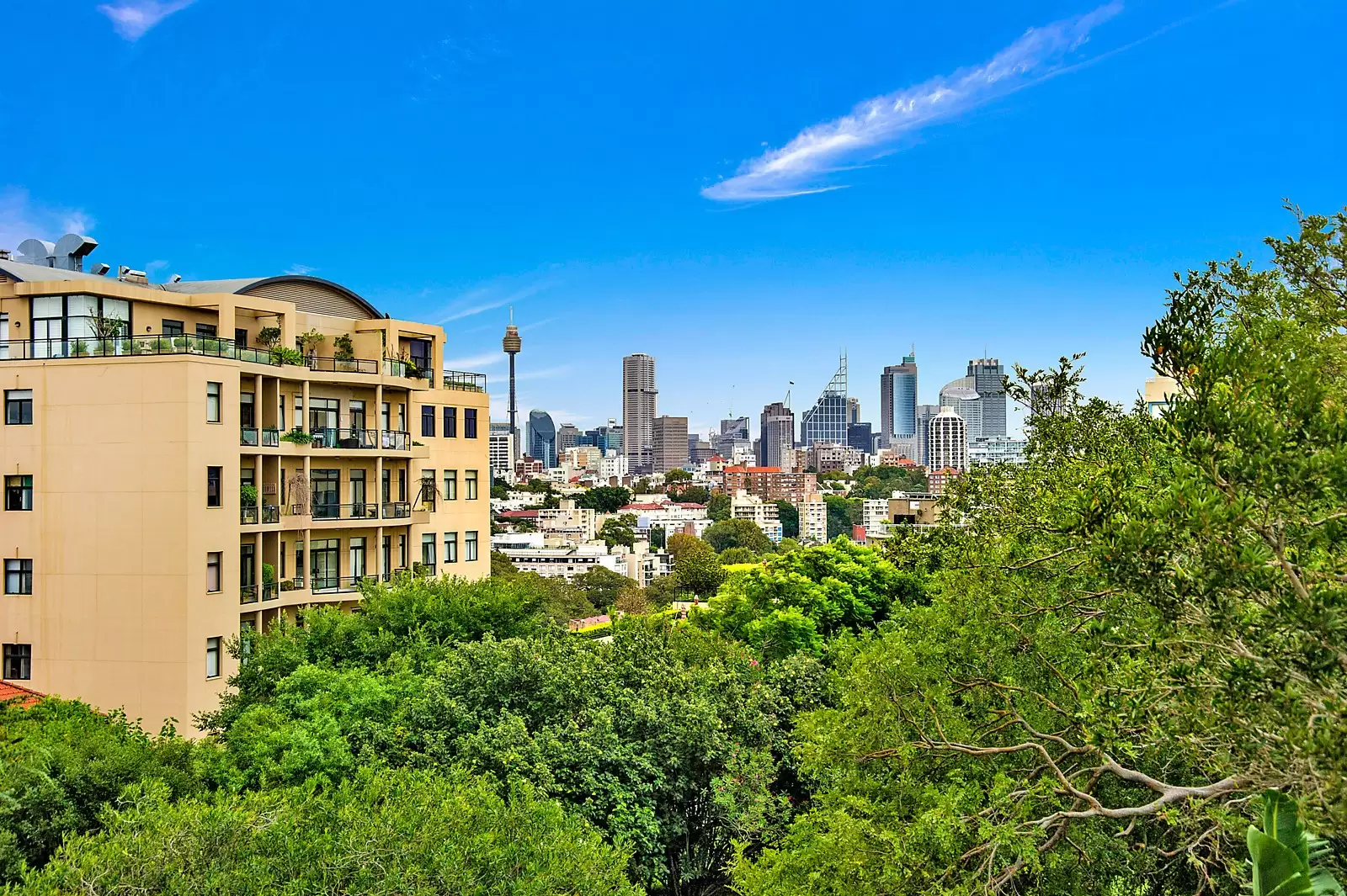 3 Darling Point Road, Darling Point For Sale by Sydney Sotheby's International Realty - image 7