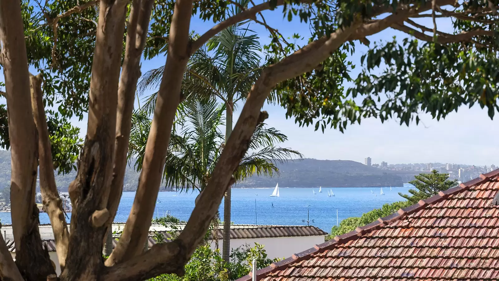Photo #13: 97 Beresford Road, Bellevue Hill - Sold by Sydney Sotheby's International Realty
