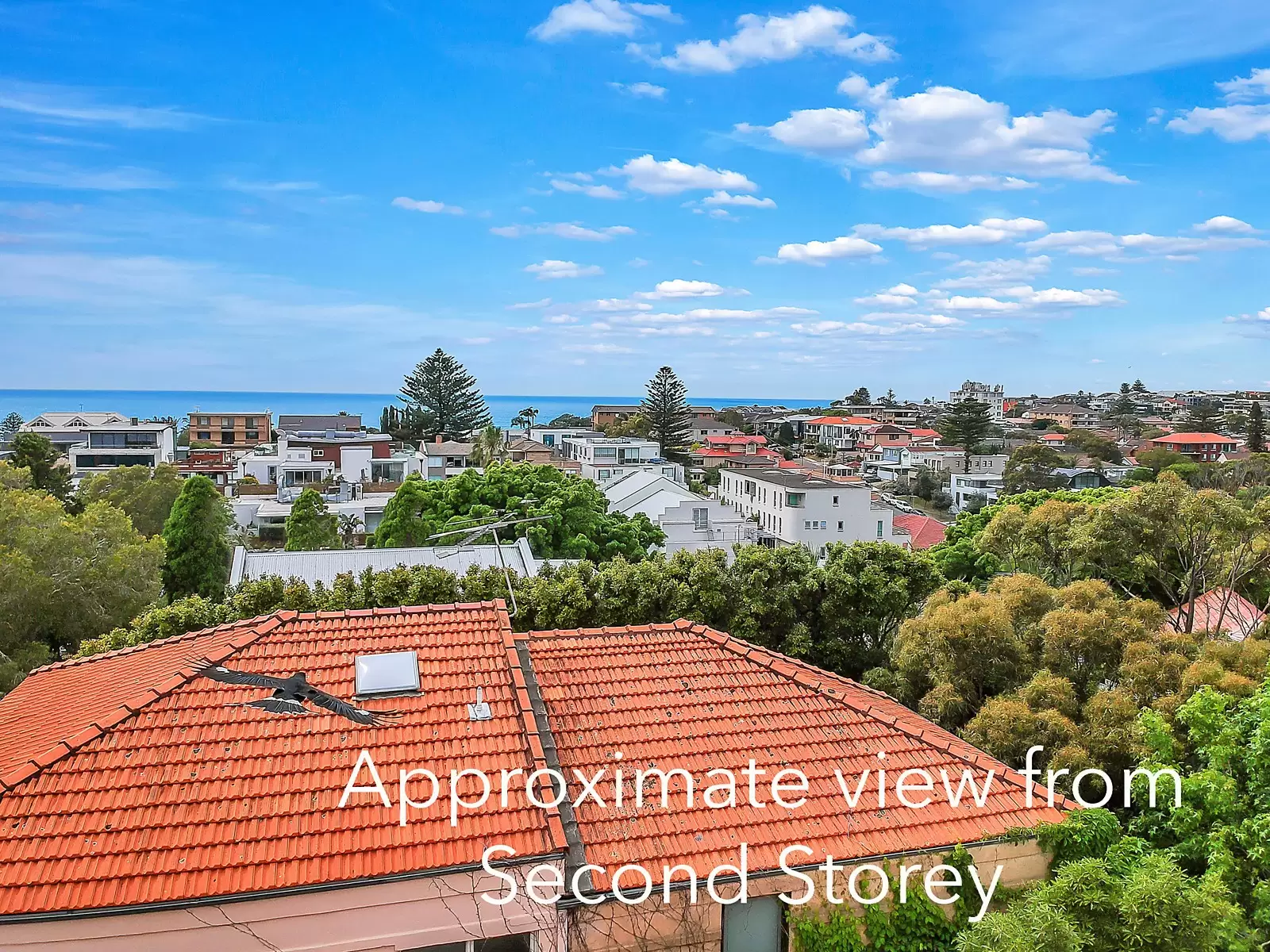 28 Towns Road, Vaucluse Sold by Sydney Sotheby's International Realty - image 11