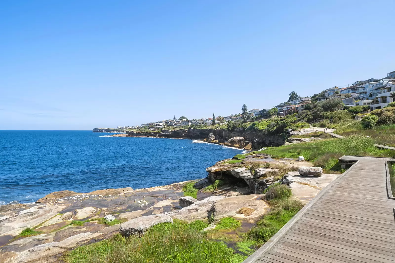 1 Wolseley Road, South Coogee Sold by Sydney Sotheby's International Realty - image 11