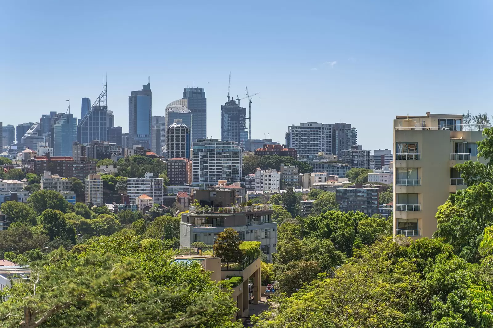 4B/3 Darling Point Road, Darling Point Sold by Sydney Sotheby's International Realty - image 8