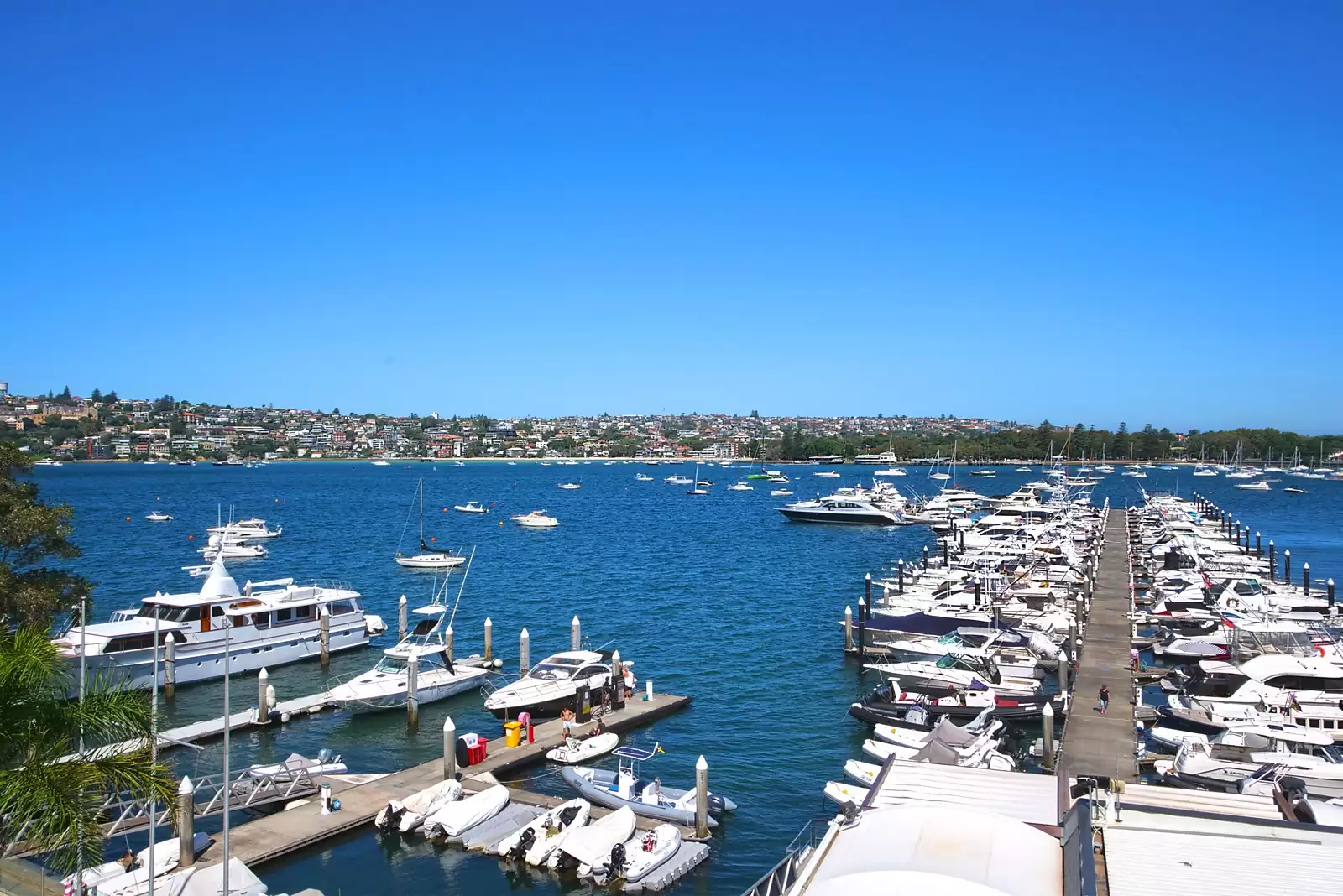 3/1A Longworth Avenue, Point Piper Sold by Sydney Sotheby's International Realty - image 10
