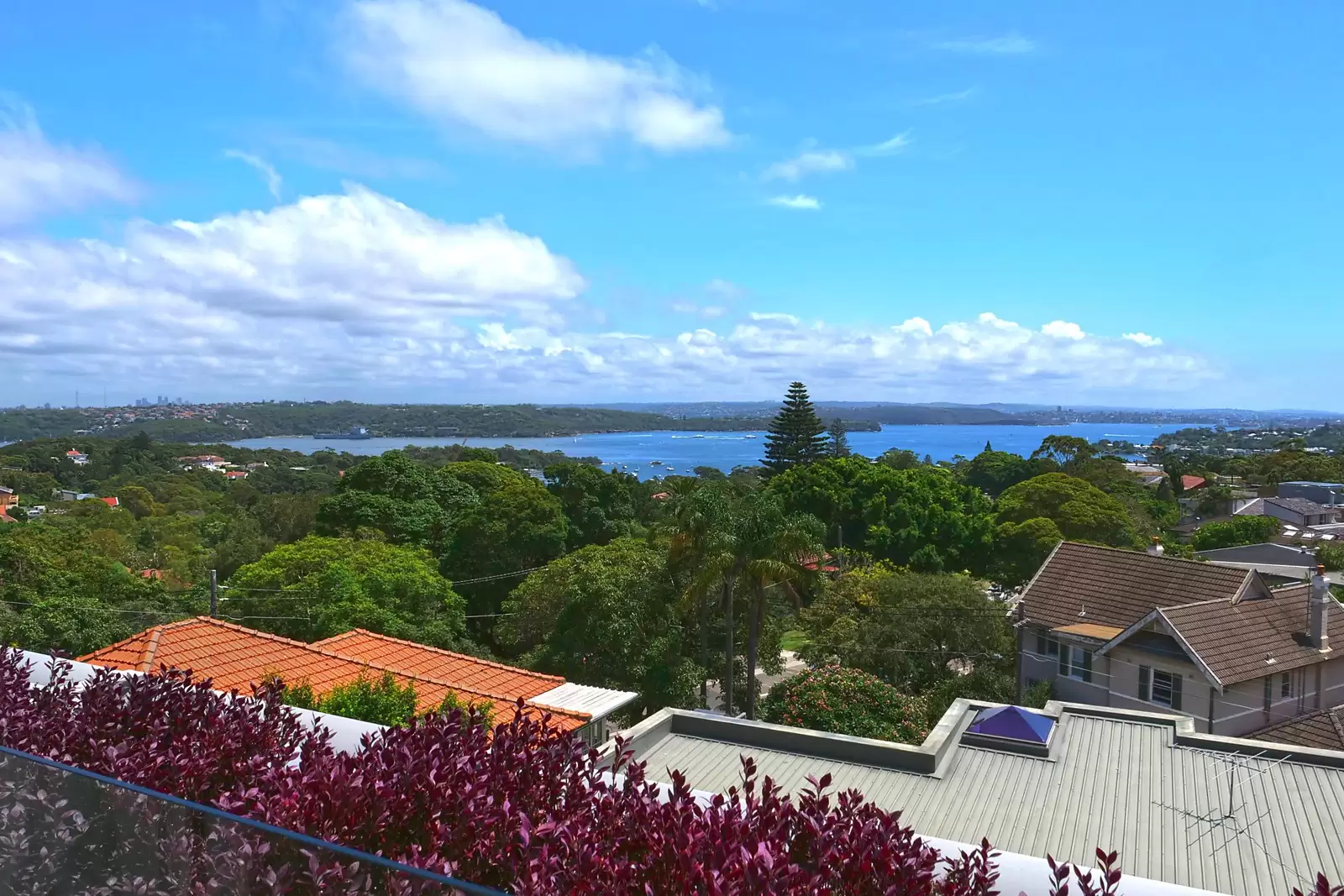 1/24 New South Head Road, Vaucluse Sold by Sydney Sotheby's International Realty - image 6
