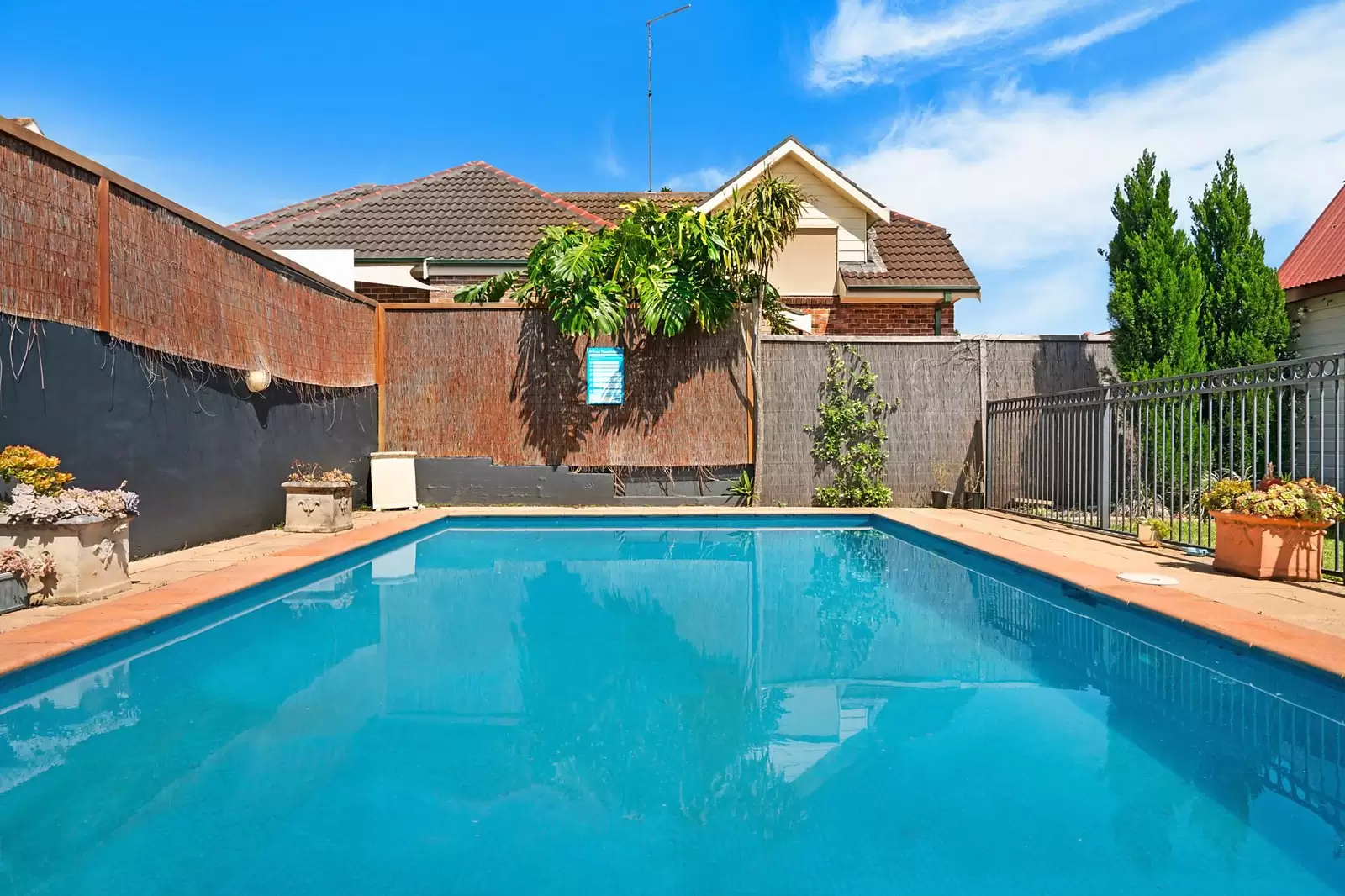141 Wentworth Road, Strathfield Sold by Sydney Sotheby's International Realty - image 7