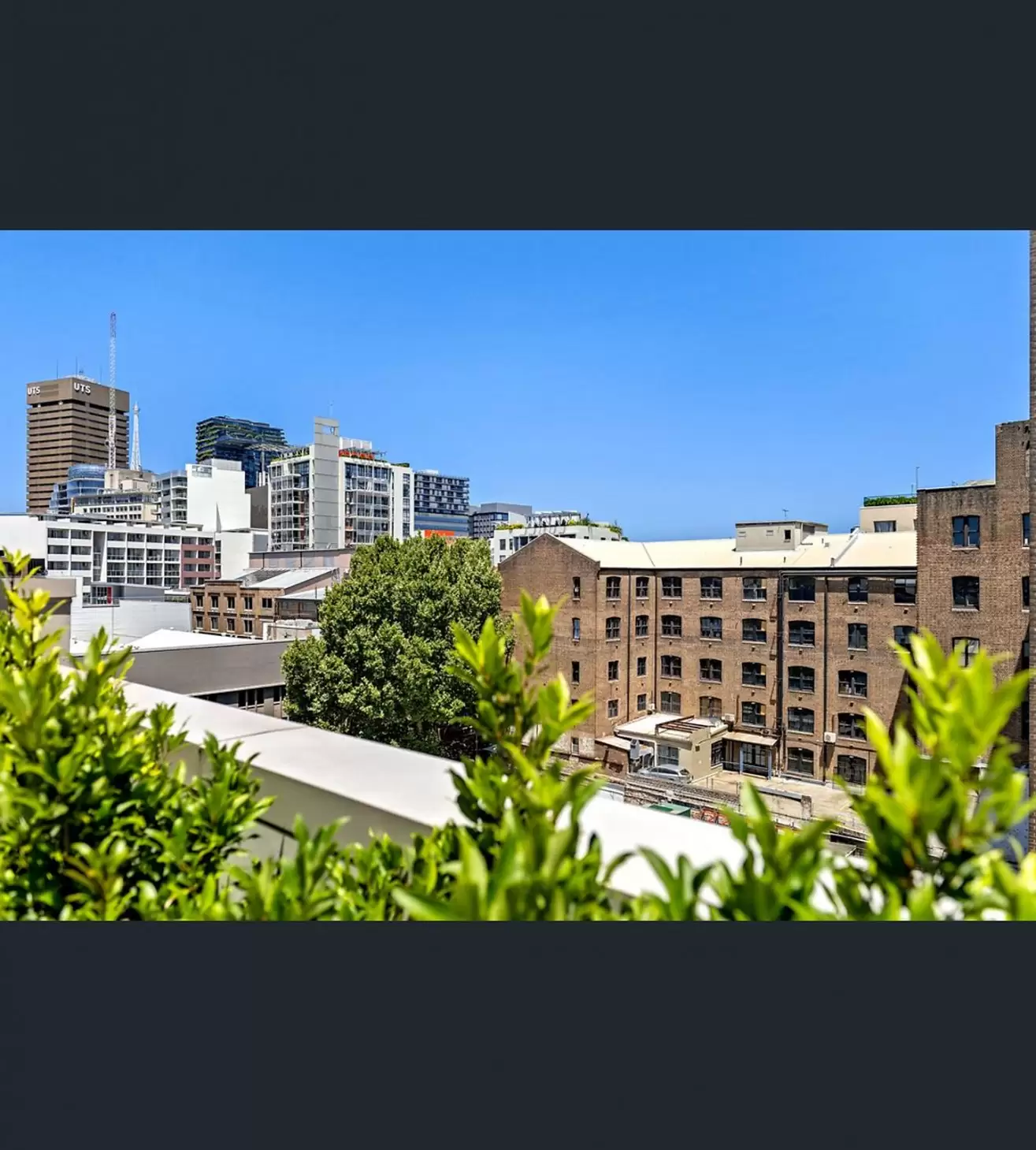 Photo #6: 506/2-12 Smail Street, Ultimo - Sold by Sydney Sotheby's International Realty