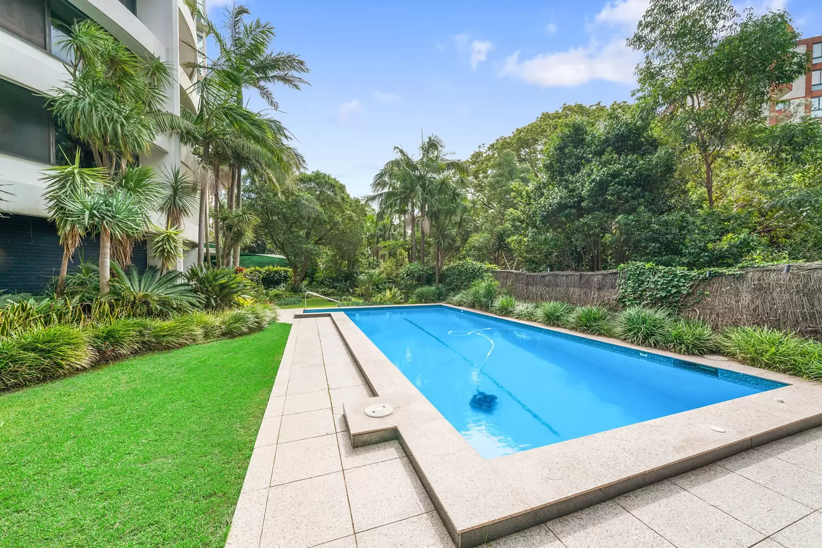 13/75 Darling Point Road, Darling Point Sold by Sydney Sotheby's International Realty - image 19